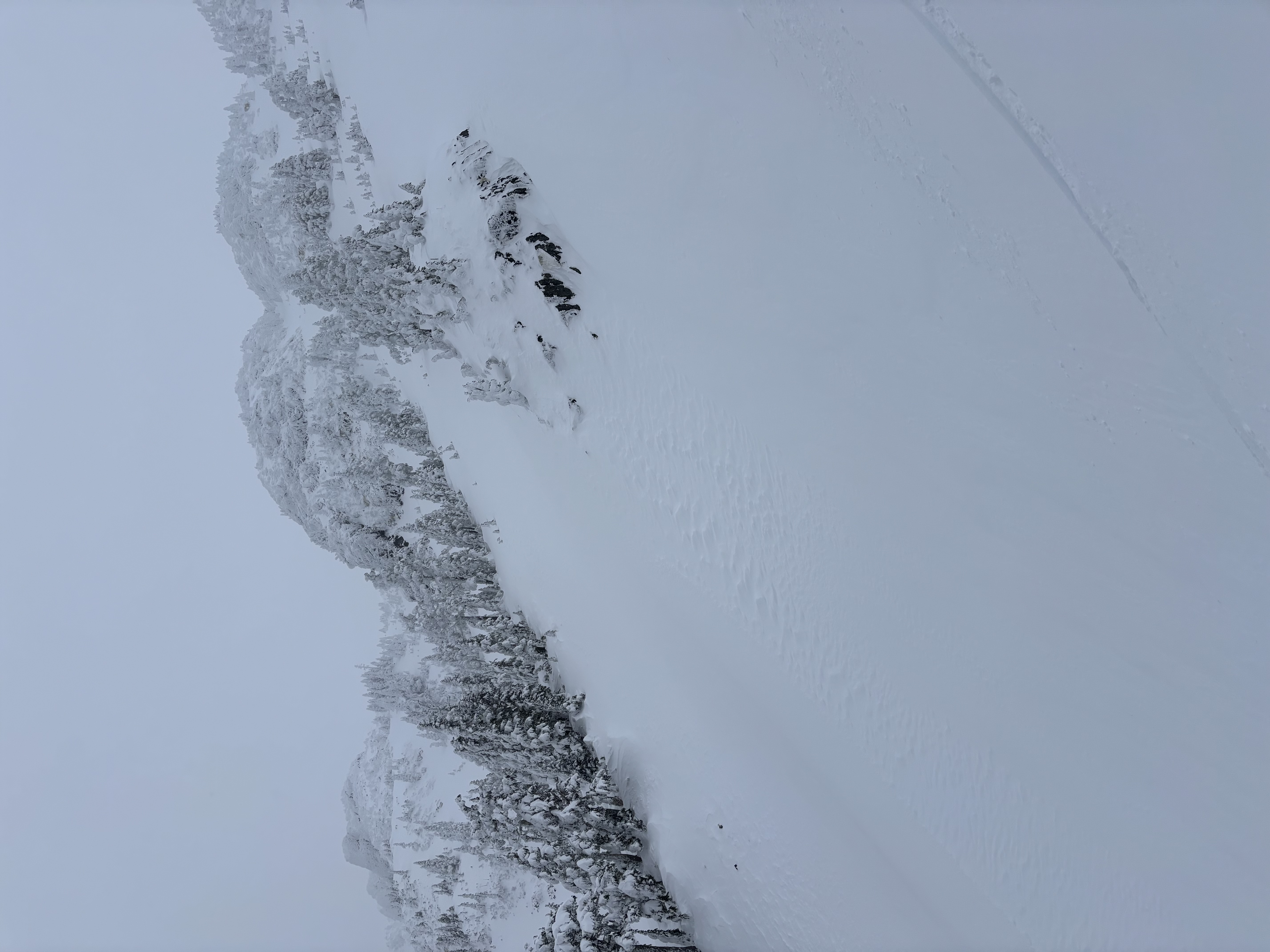 Observation photo