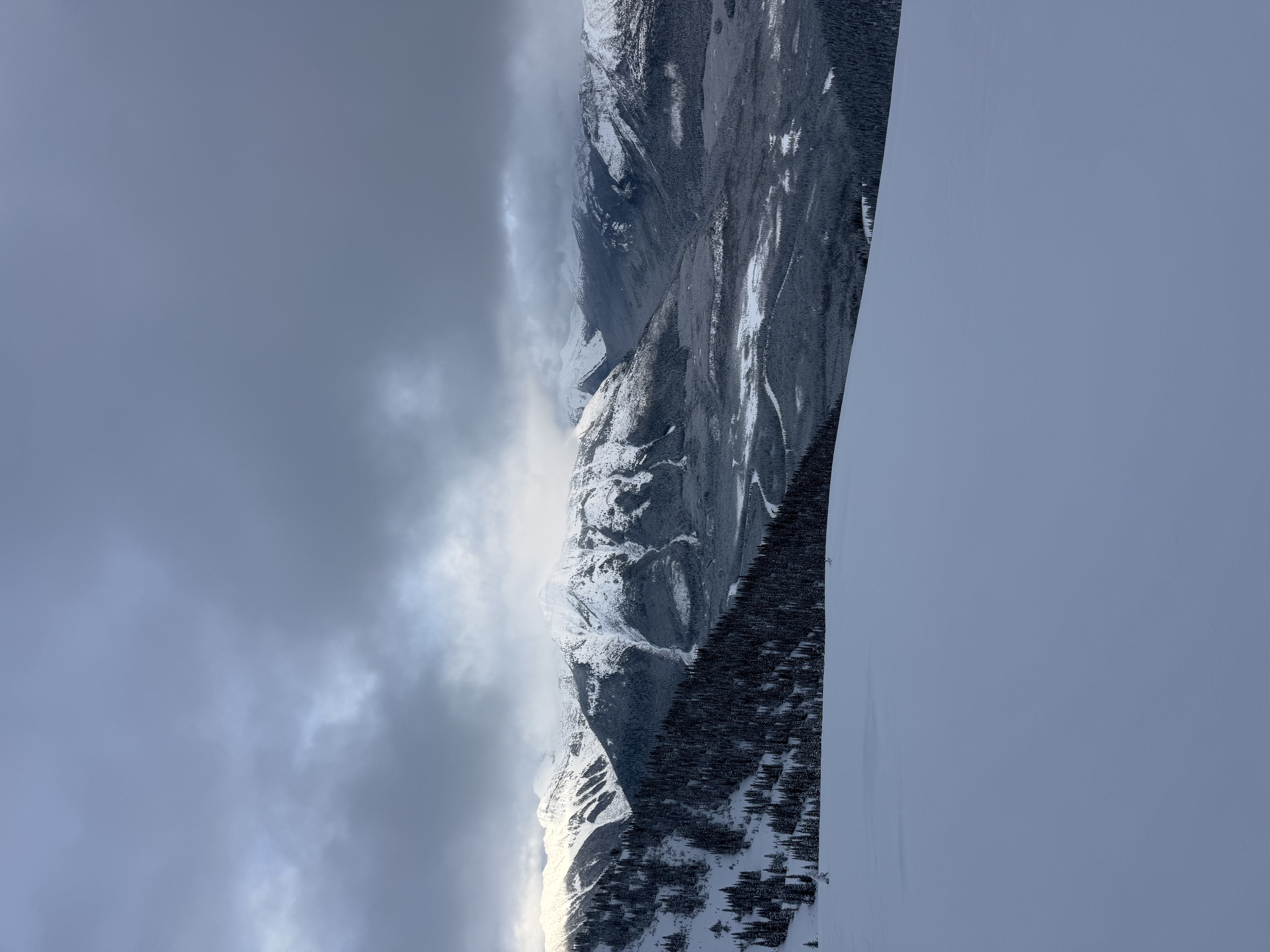 Observation photo