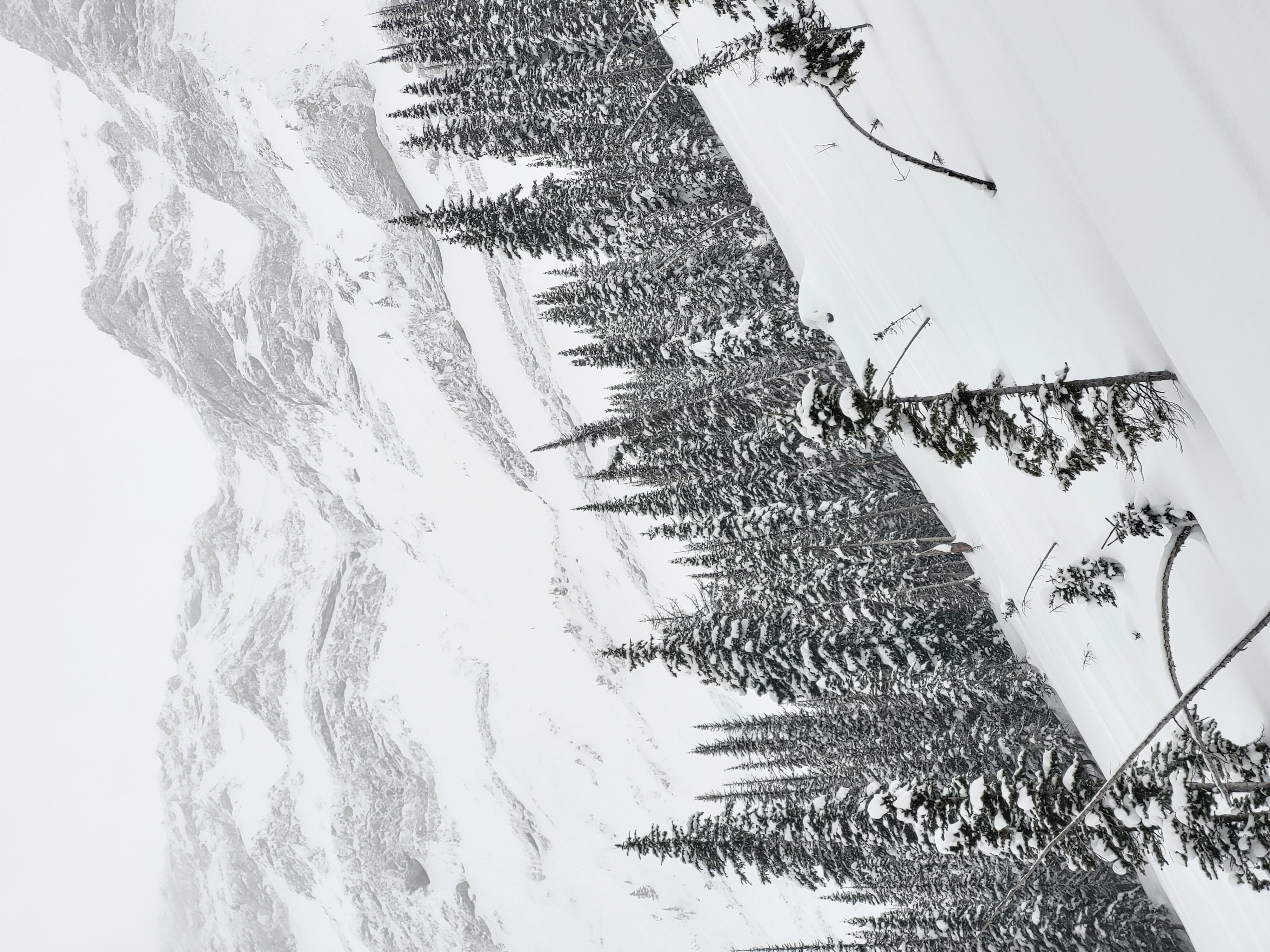 Observation photo