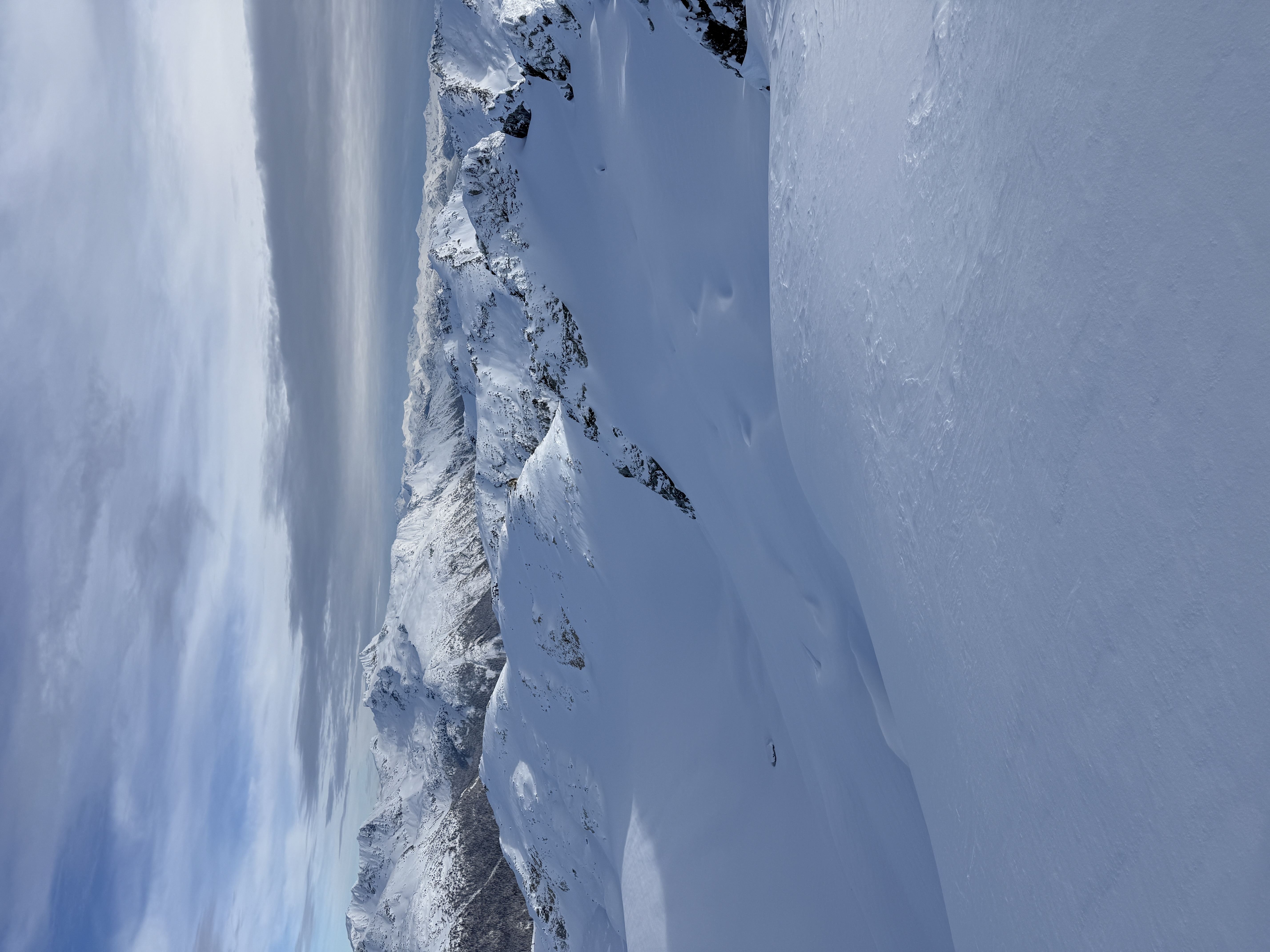 Observation photo