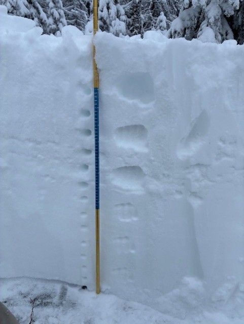 Observation photo