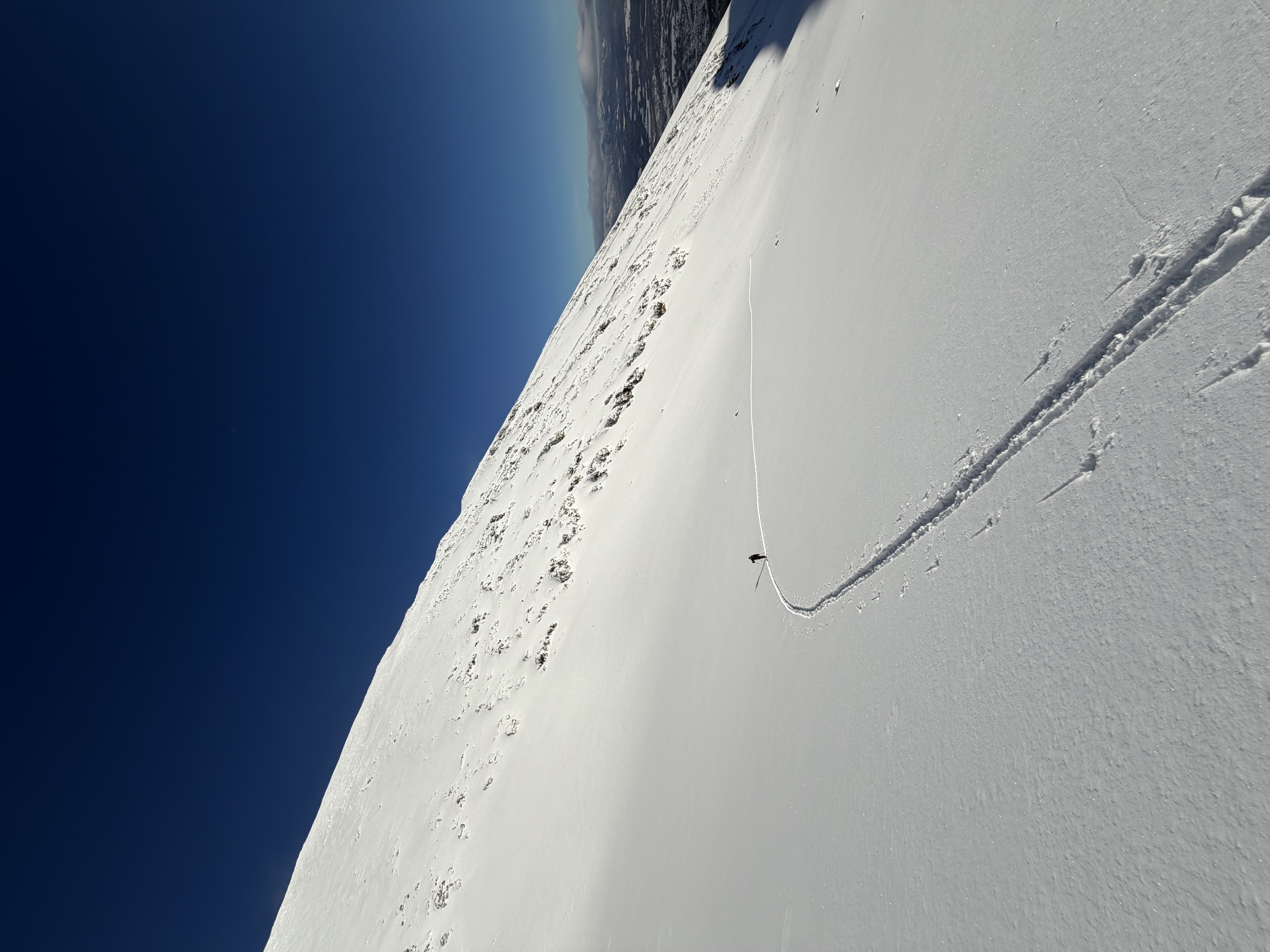 Observation photo