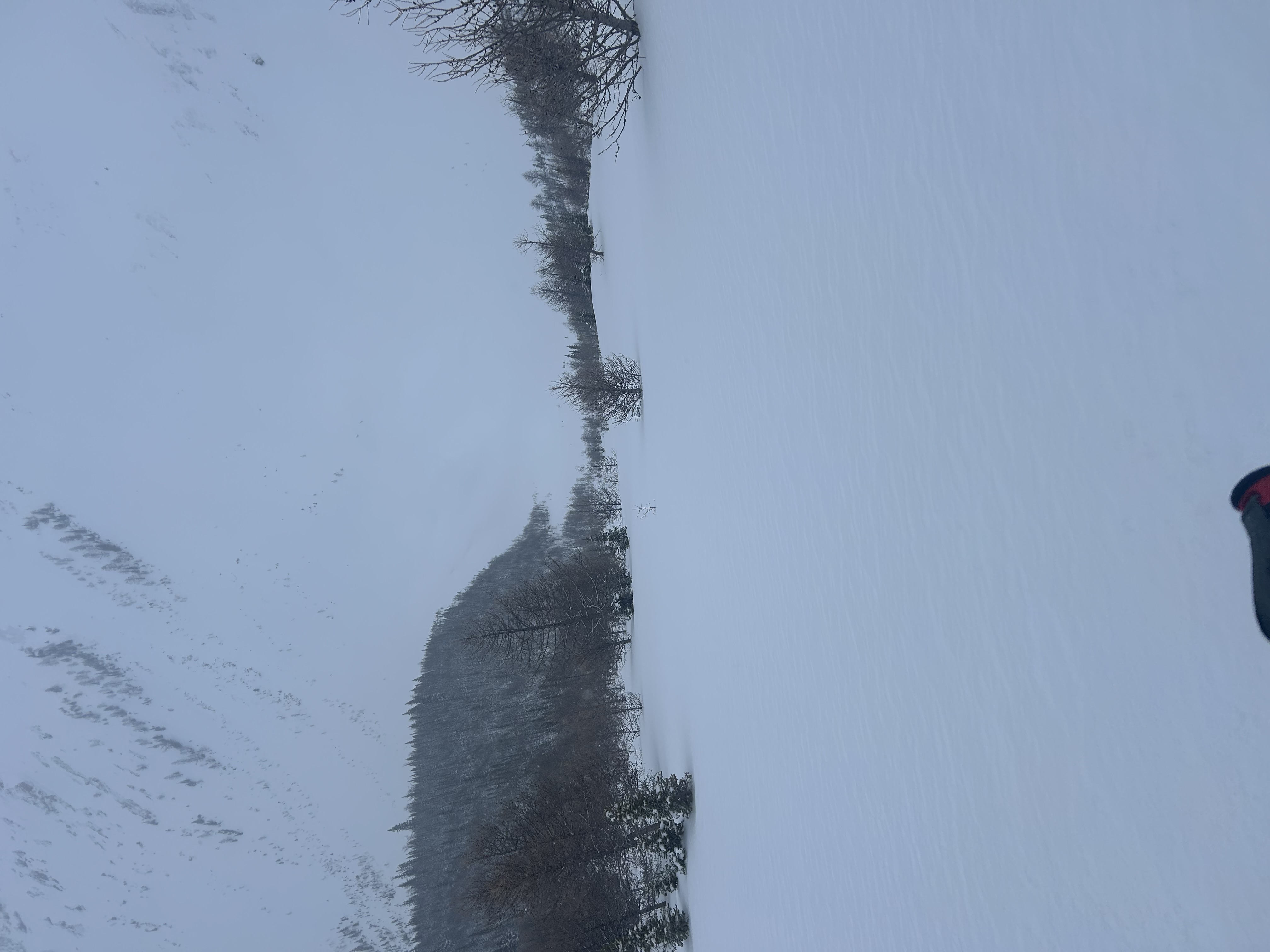 Observation photo