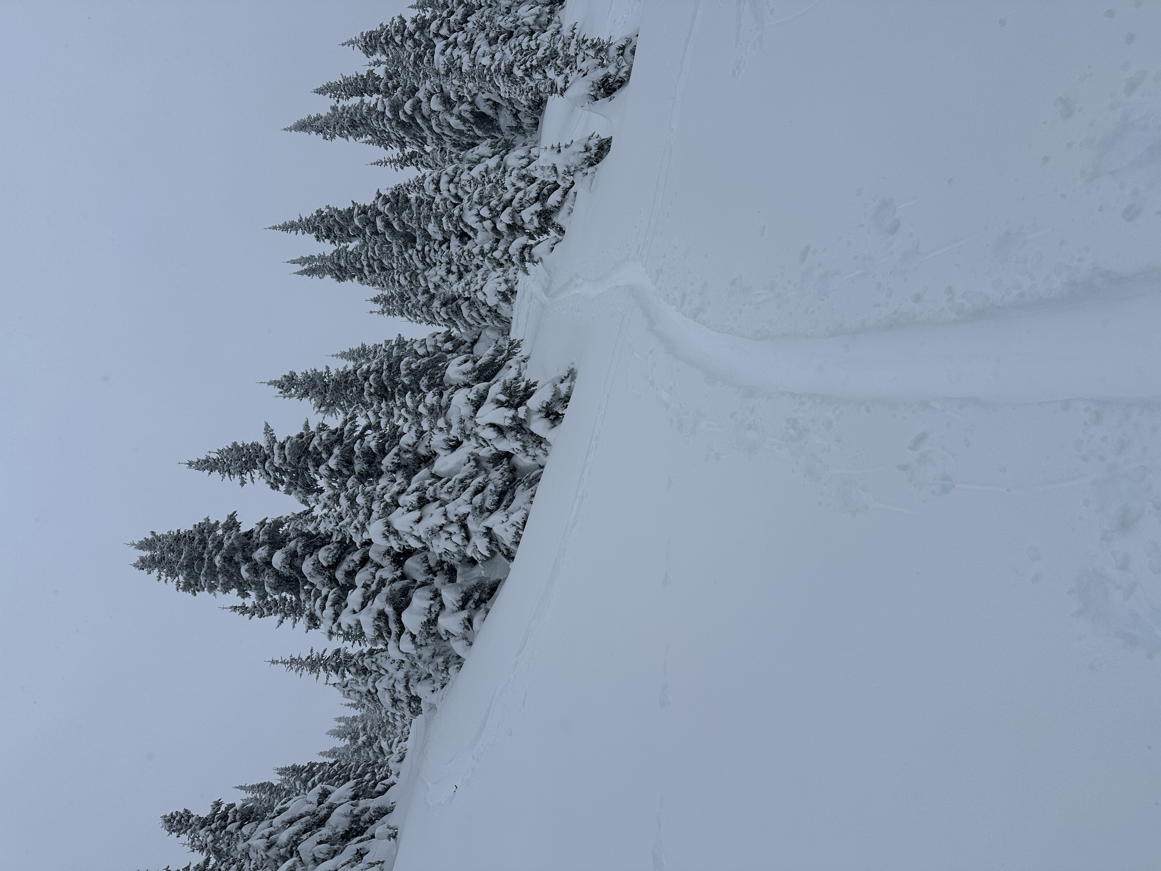 Observation photo