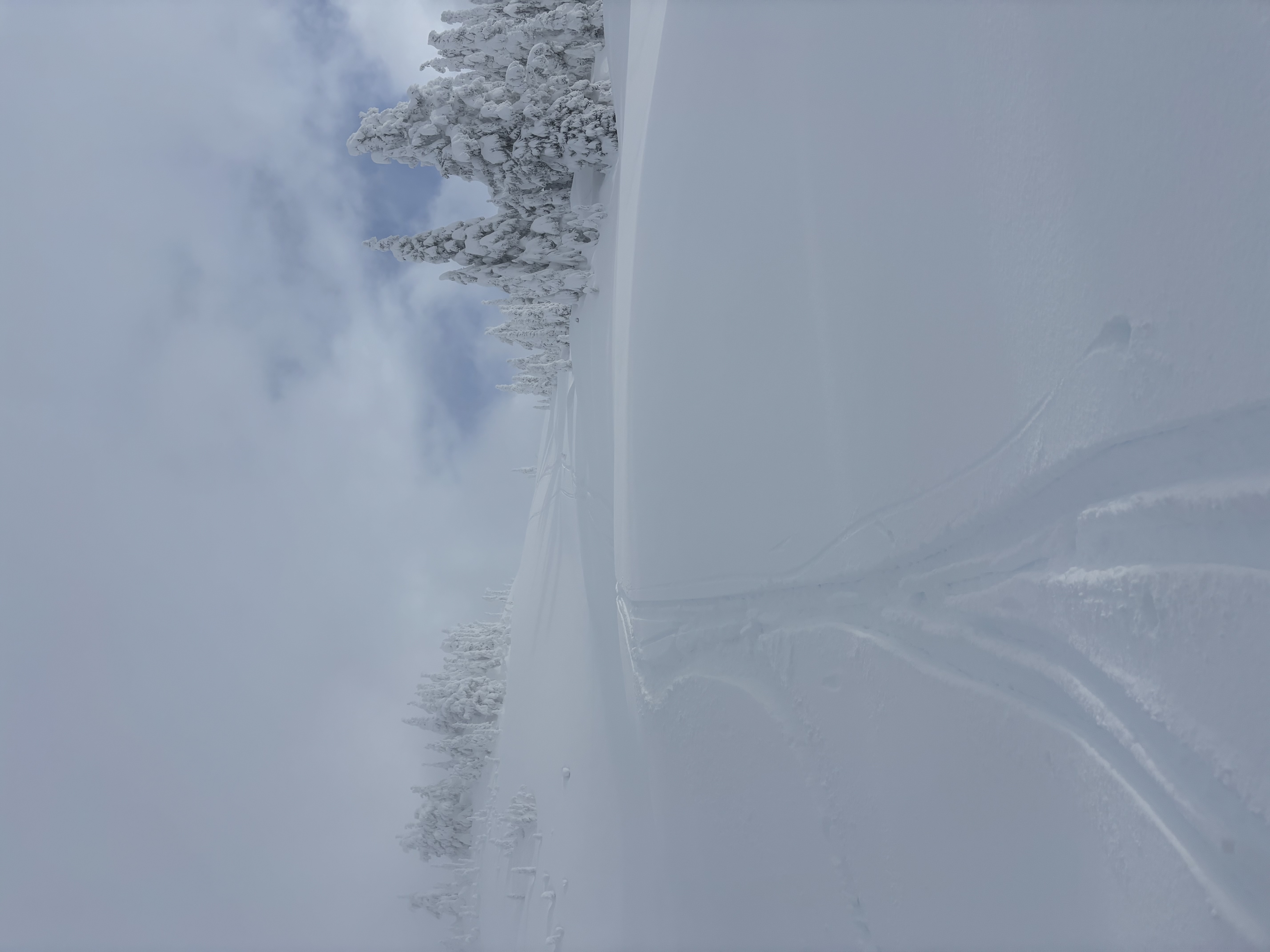 Observation photo