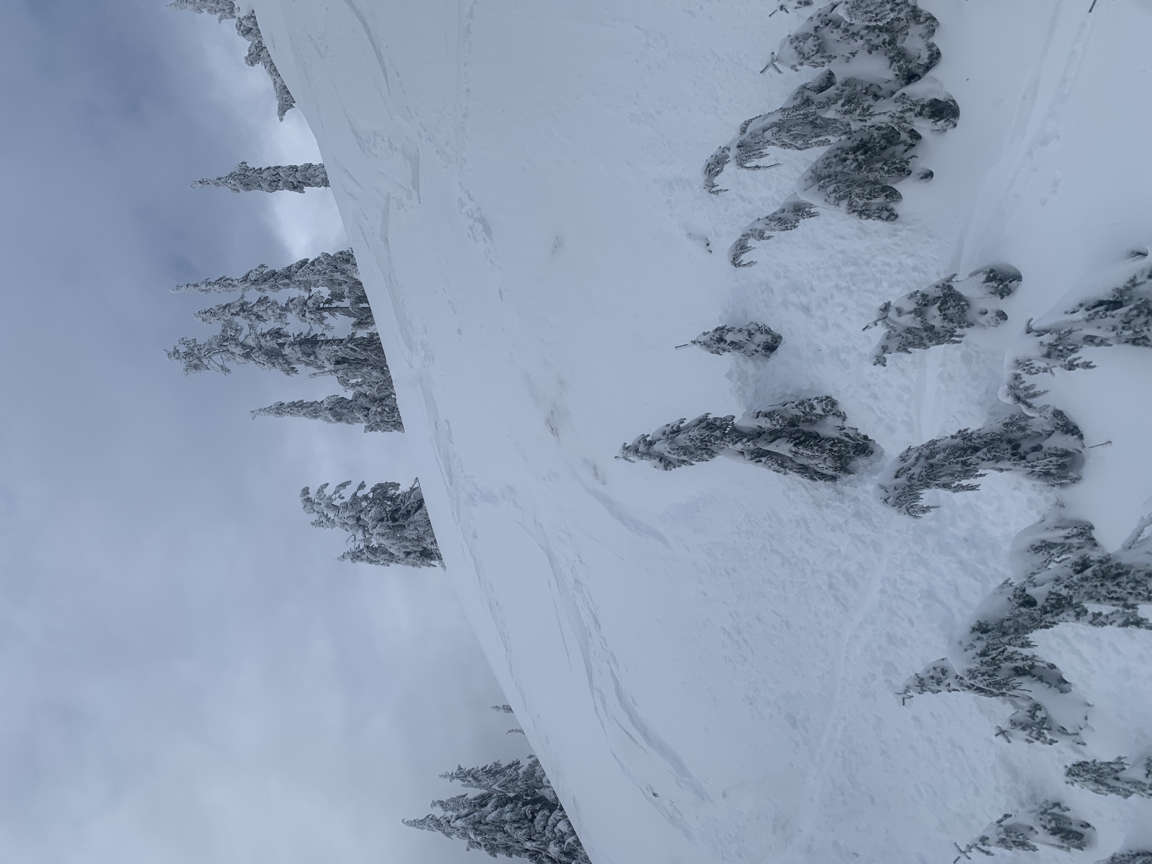 Observation photo
