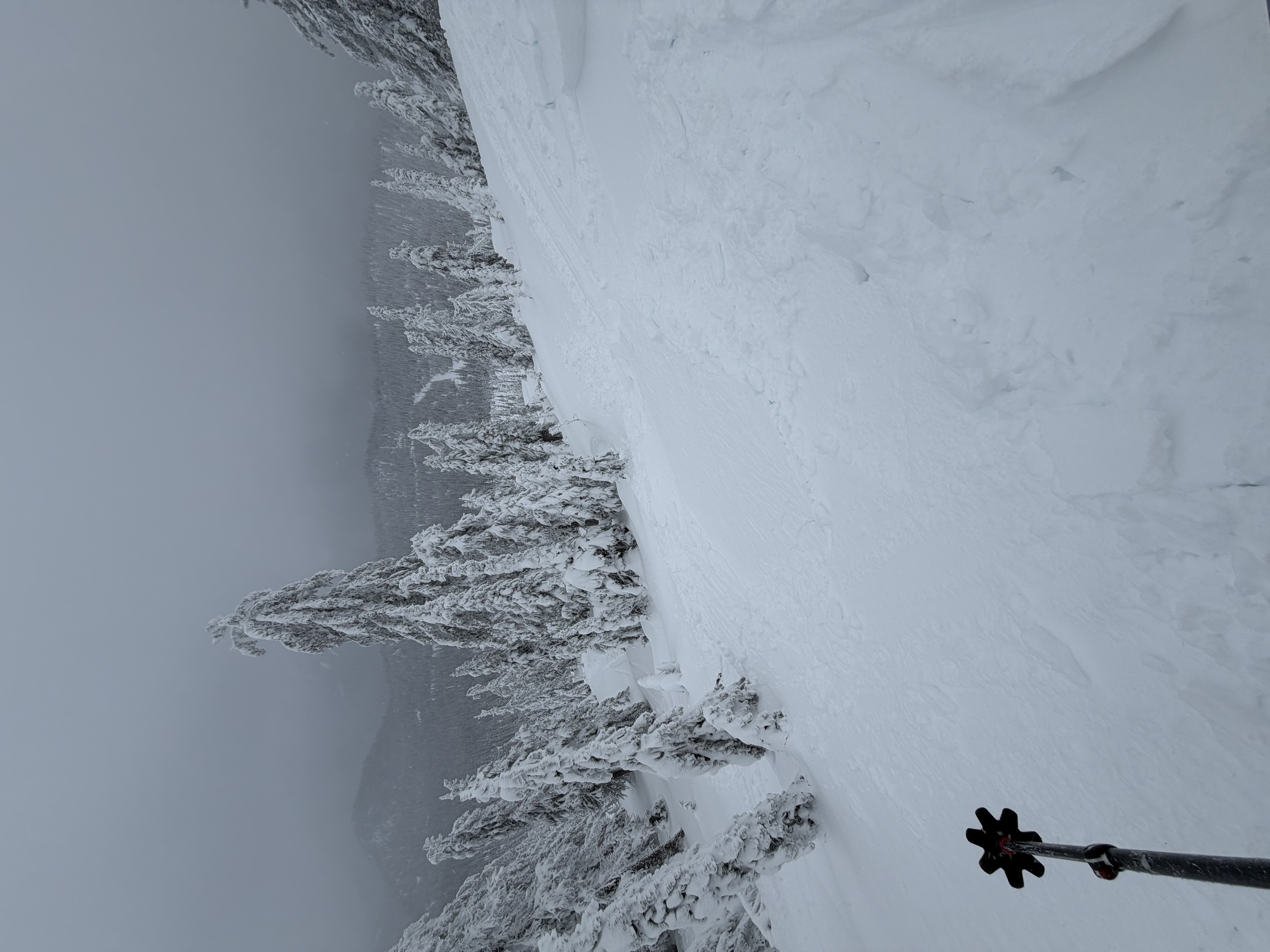 Observation photo