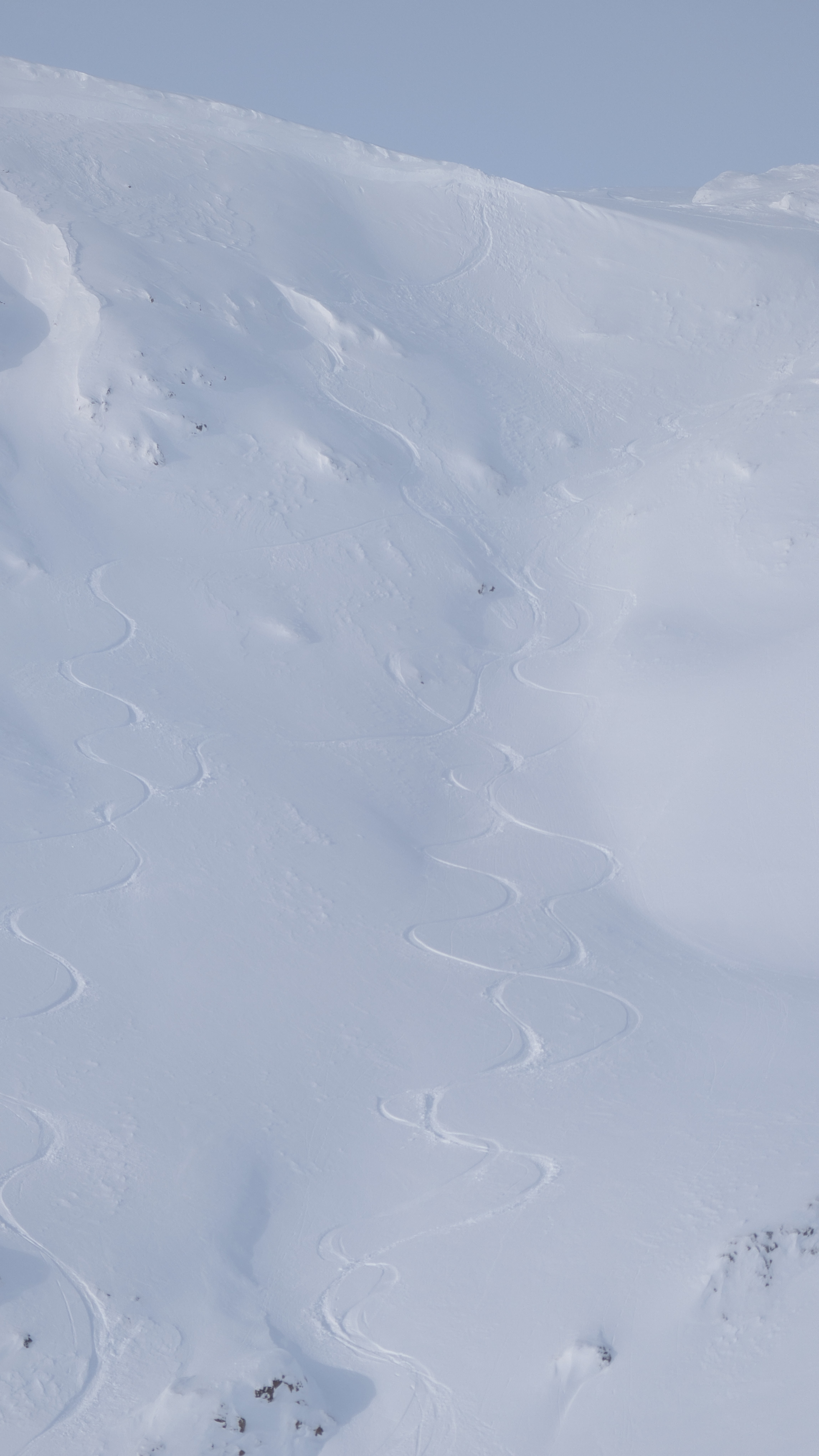Observation photo