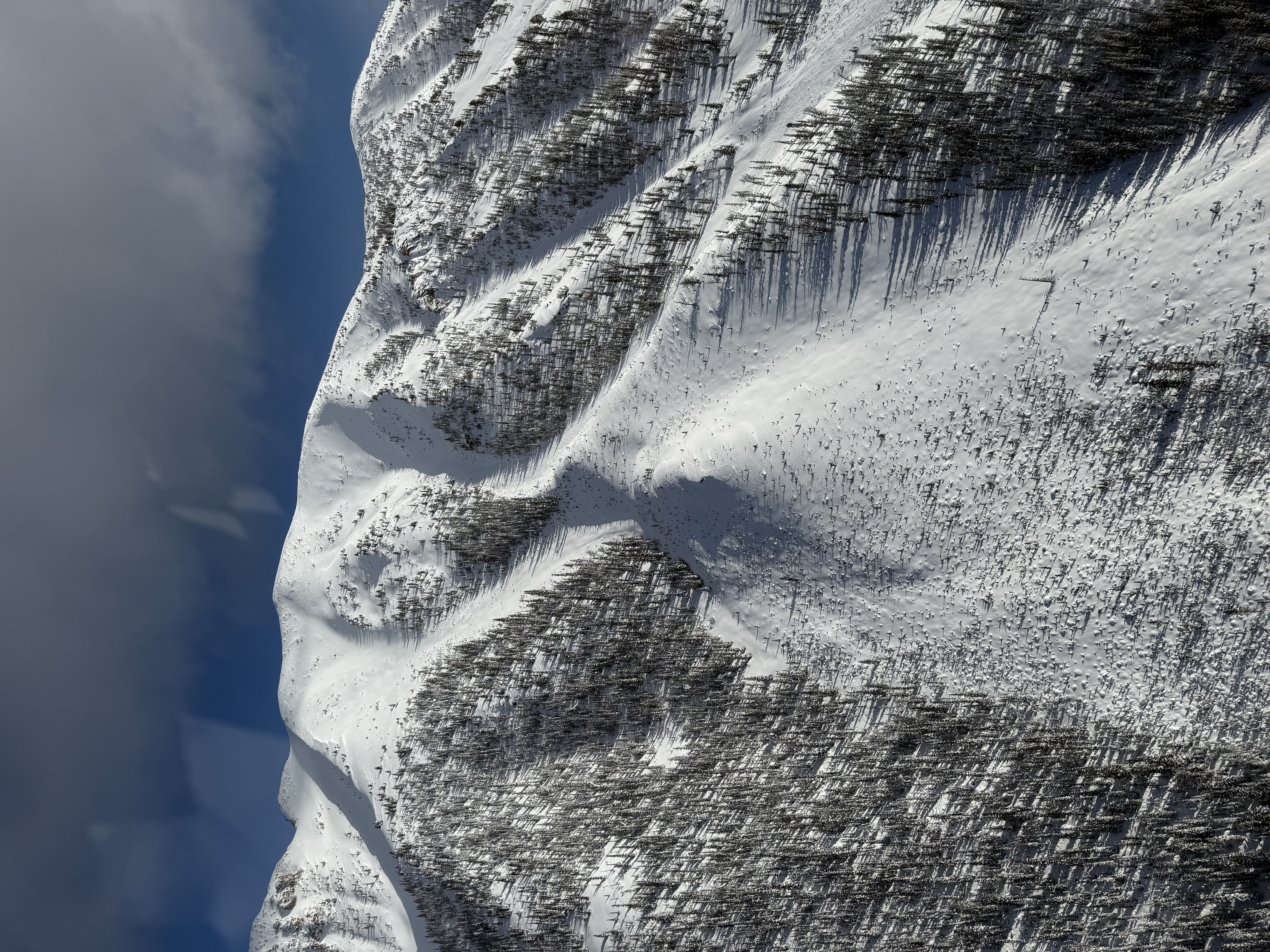 Observation photo