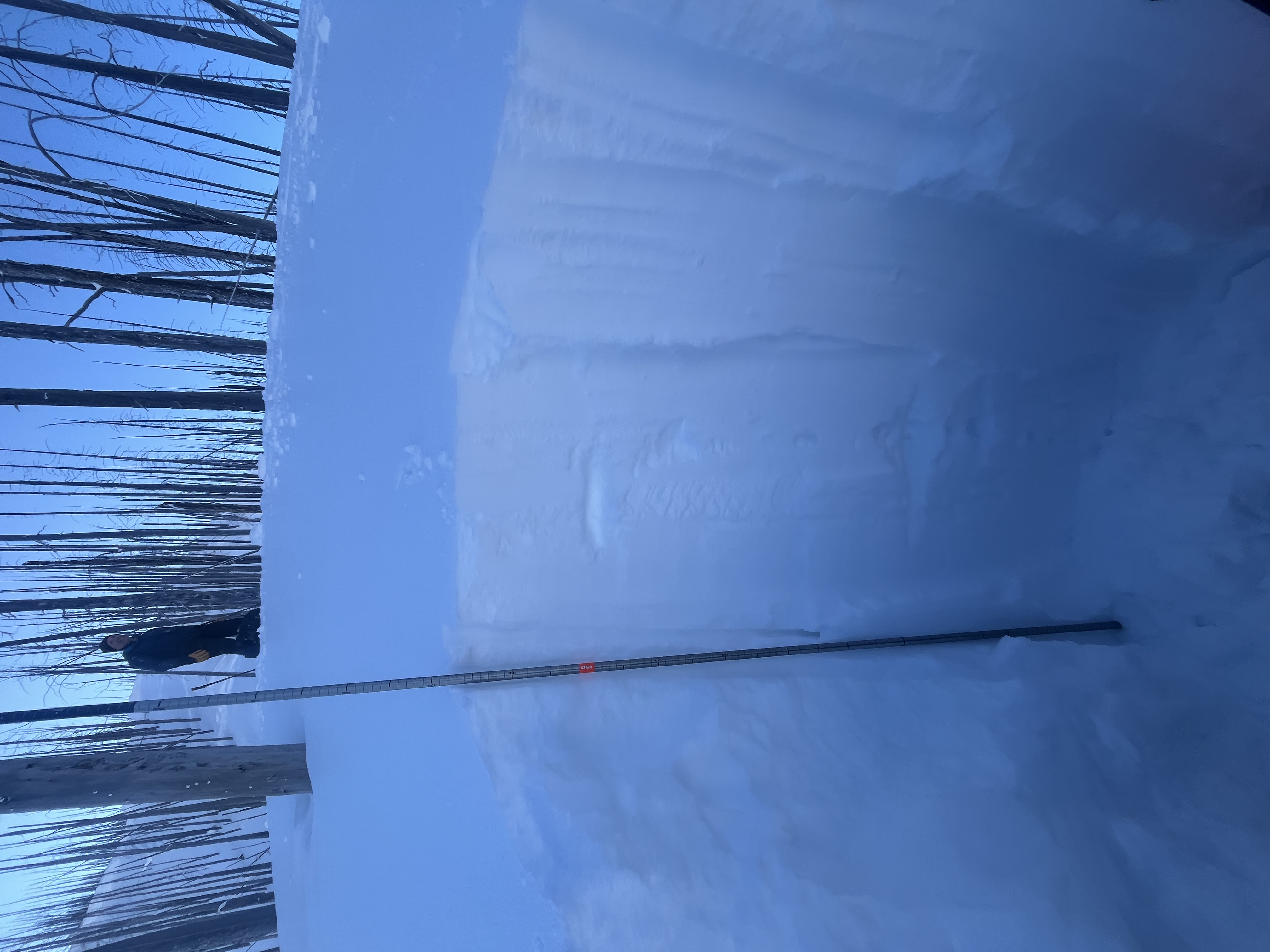 Observation photo