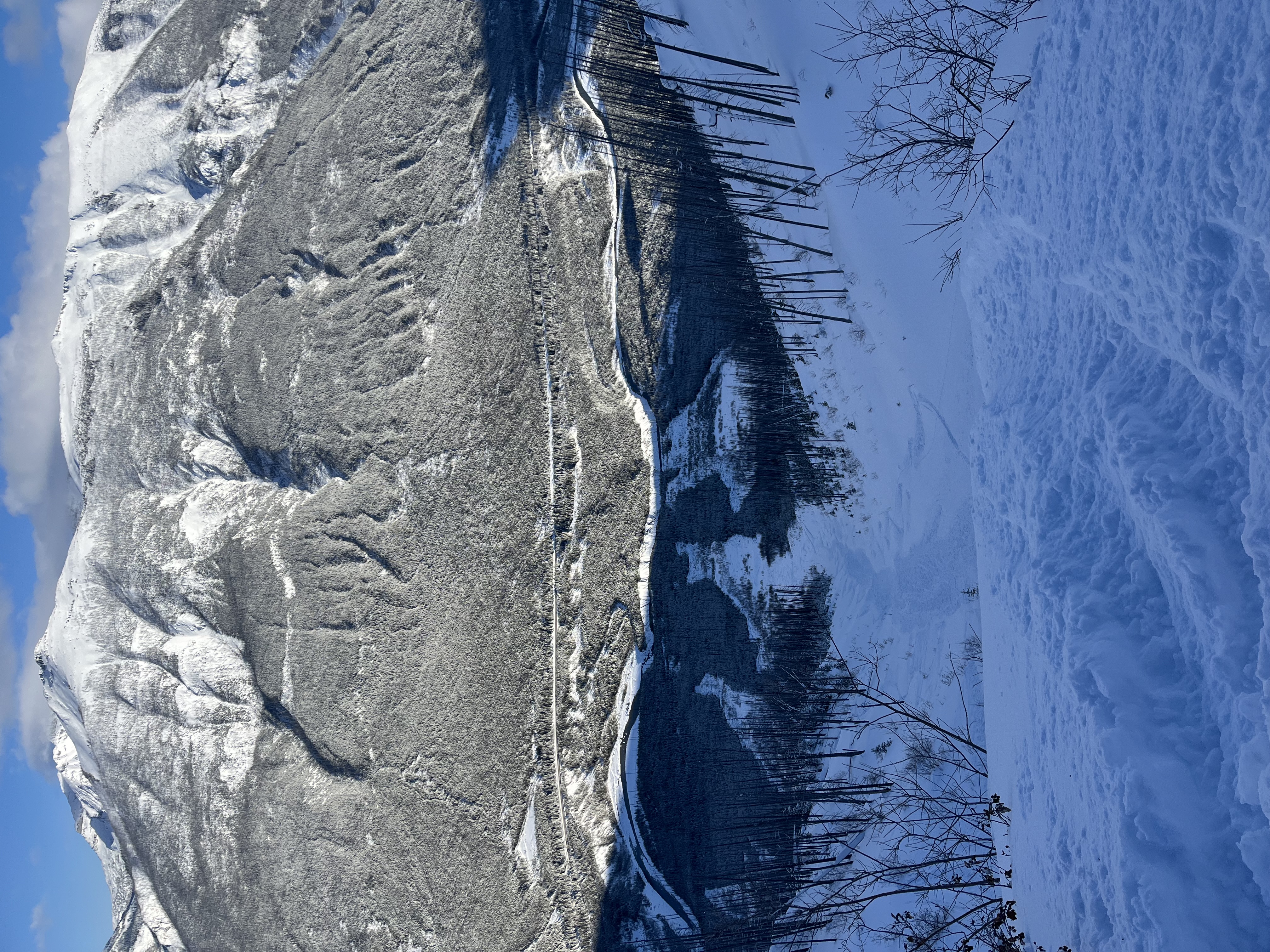 Observation photo