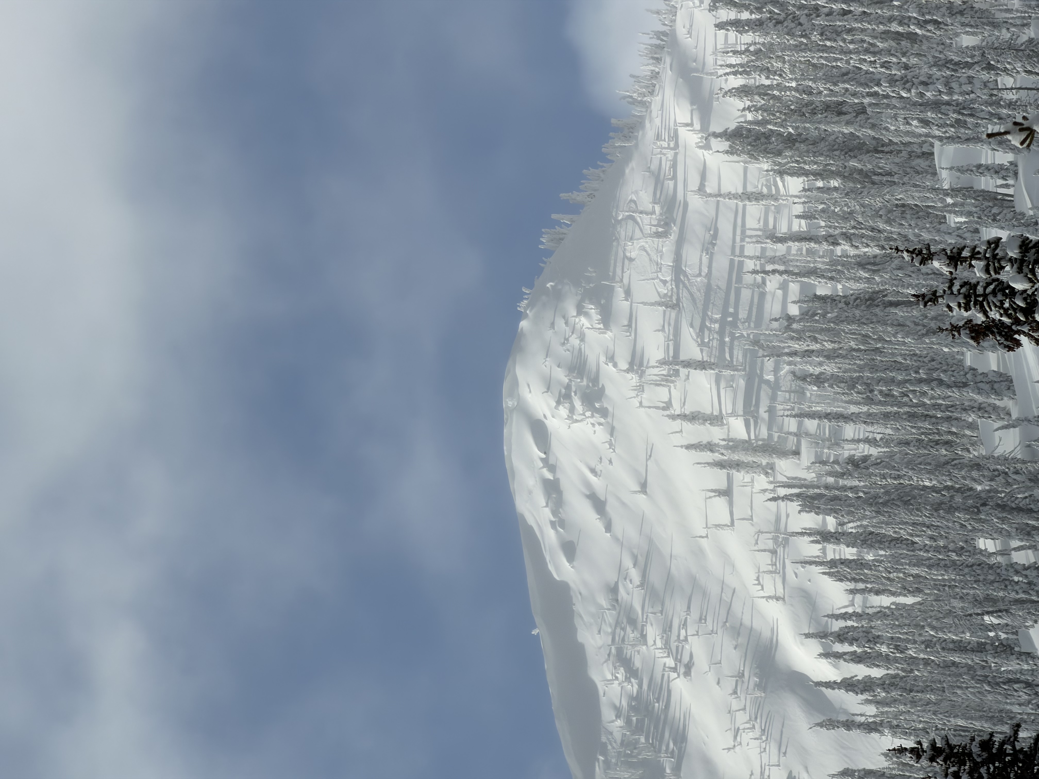 Observation photo