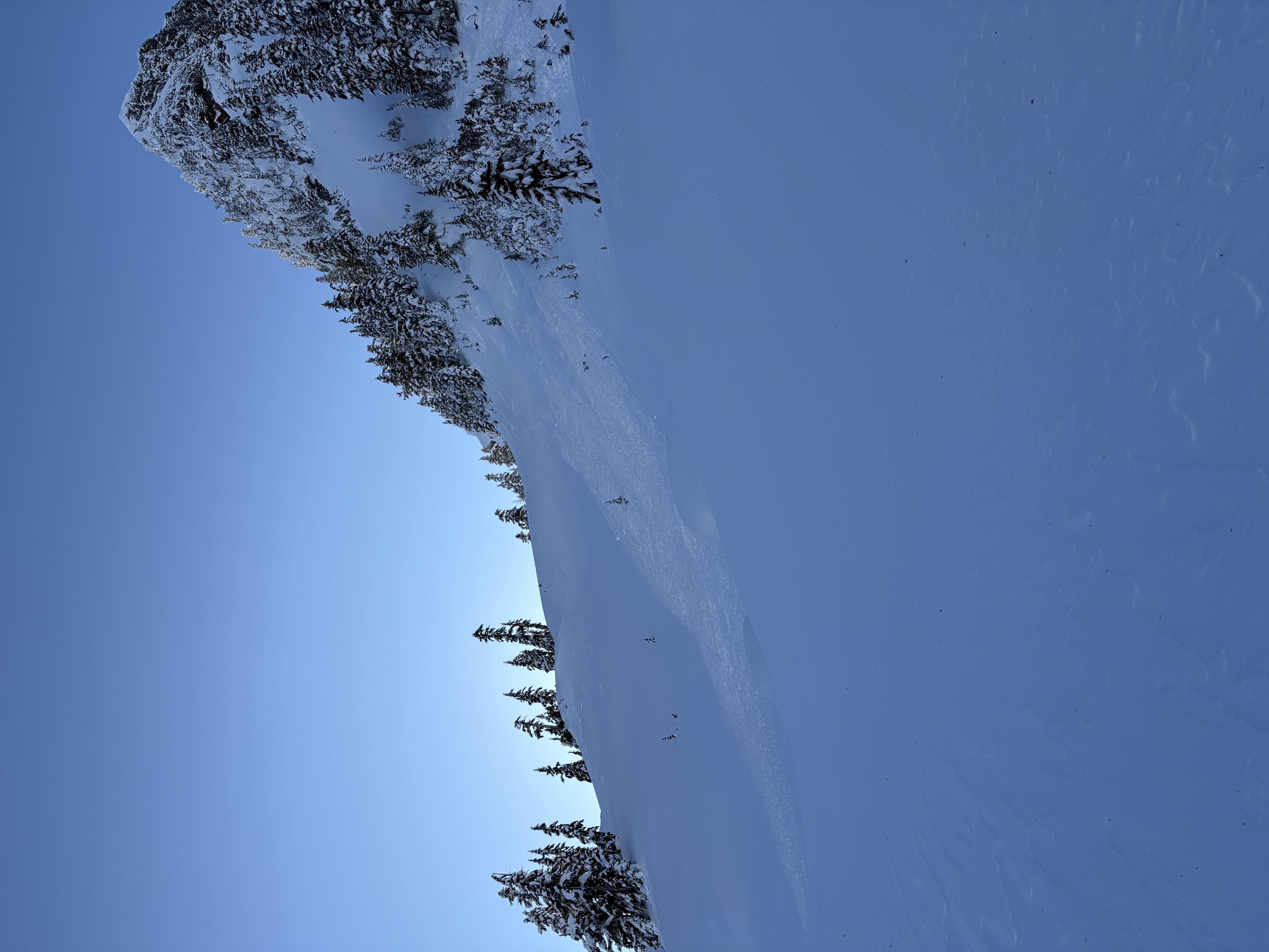 Observation photo