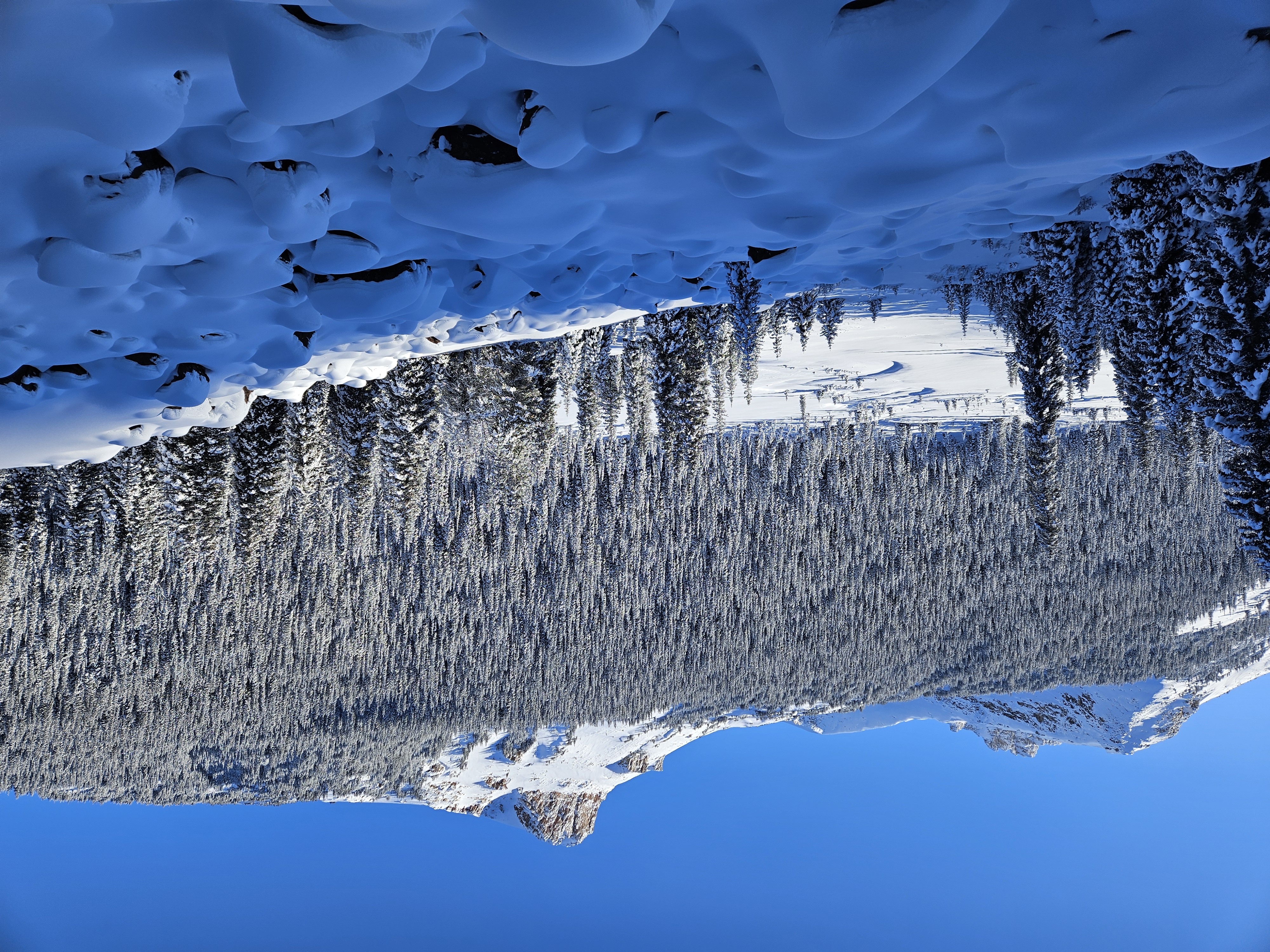 Observation photo