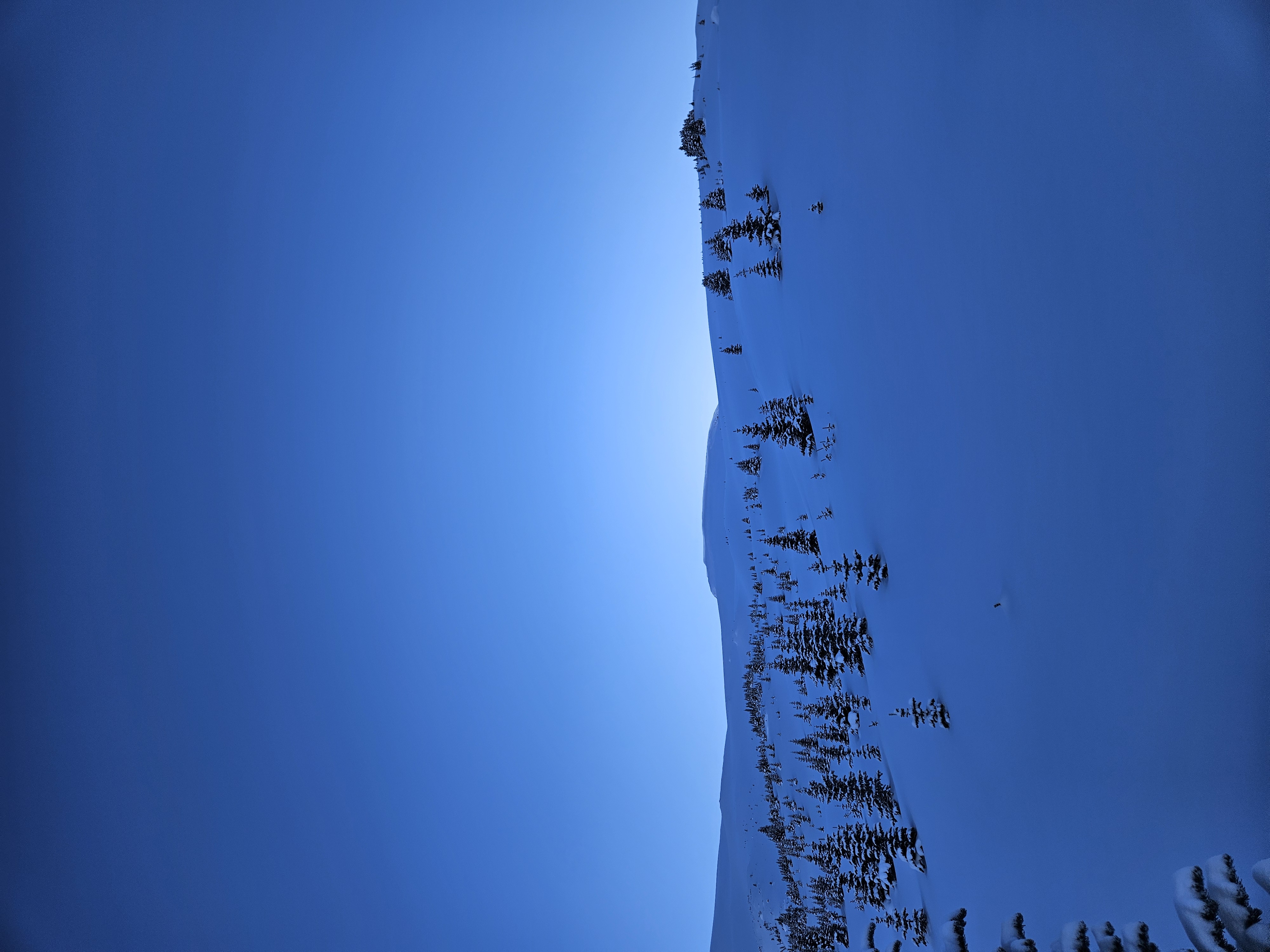Observation photo