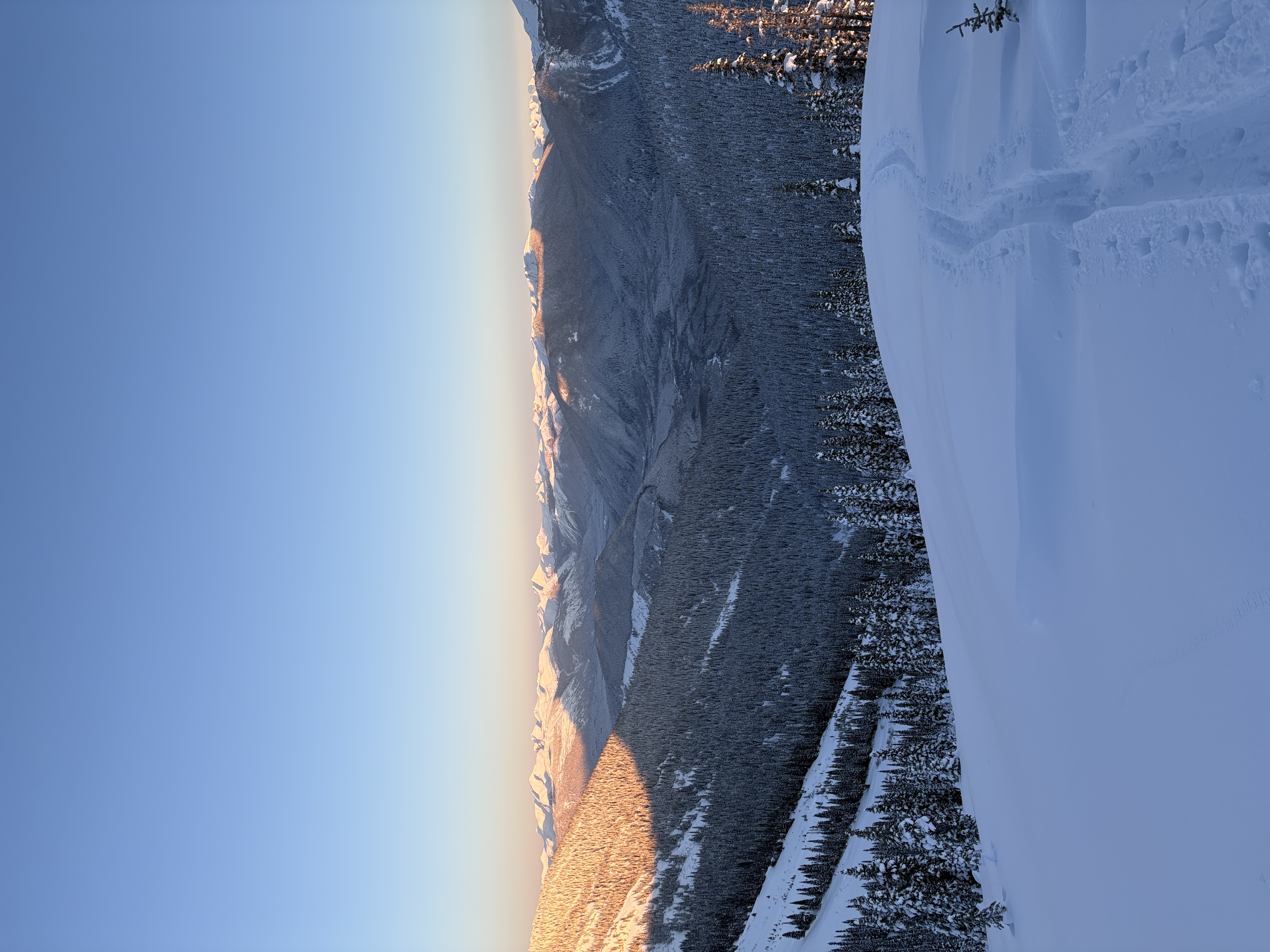 Observation photo