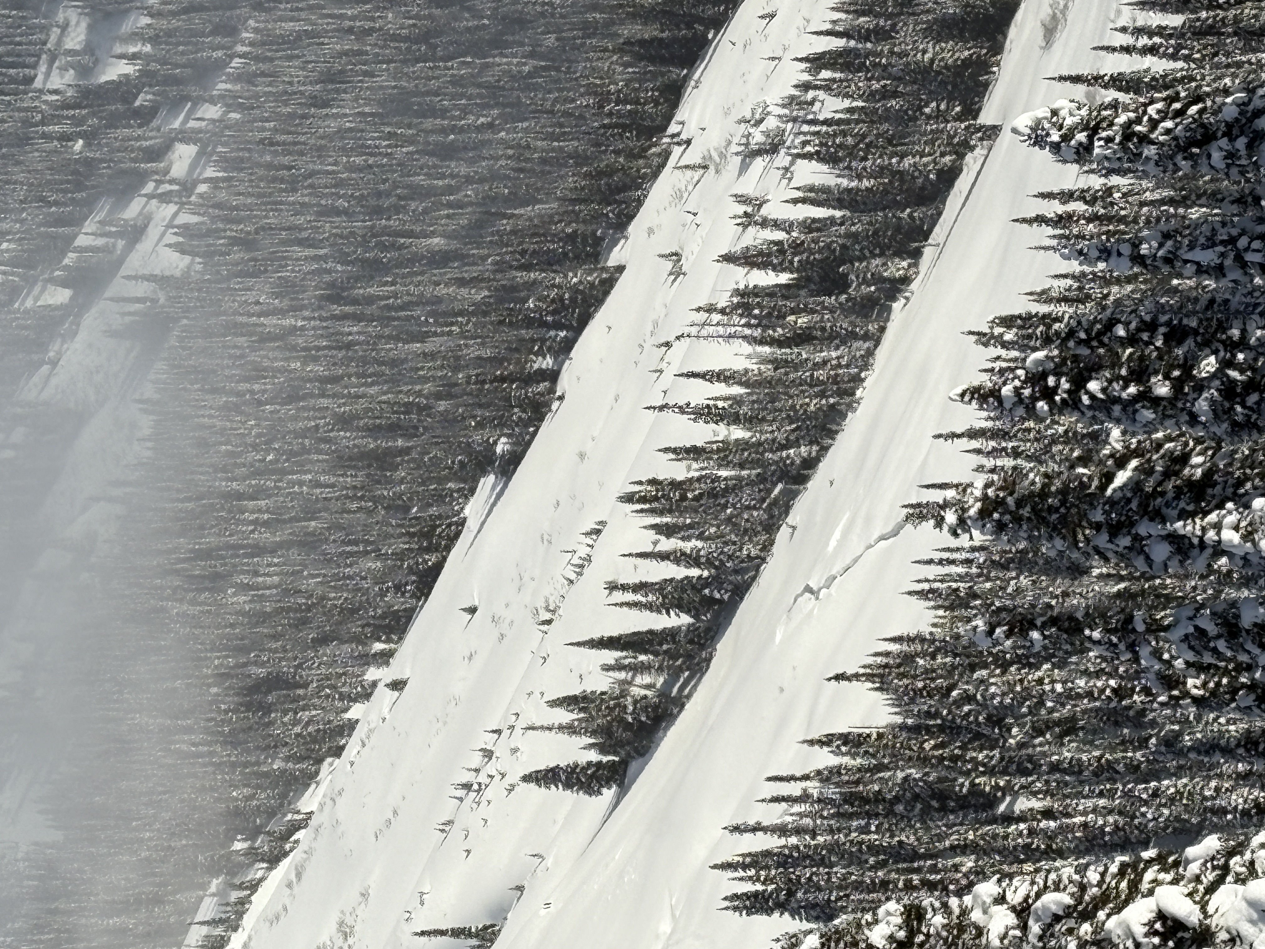 Observation photo