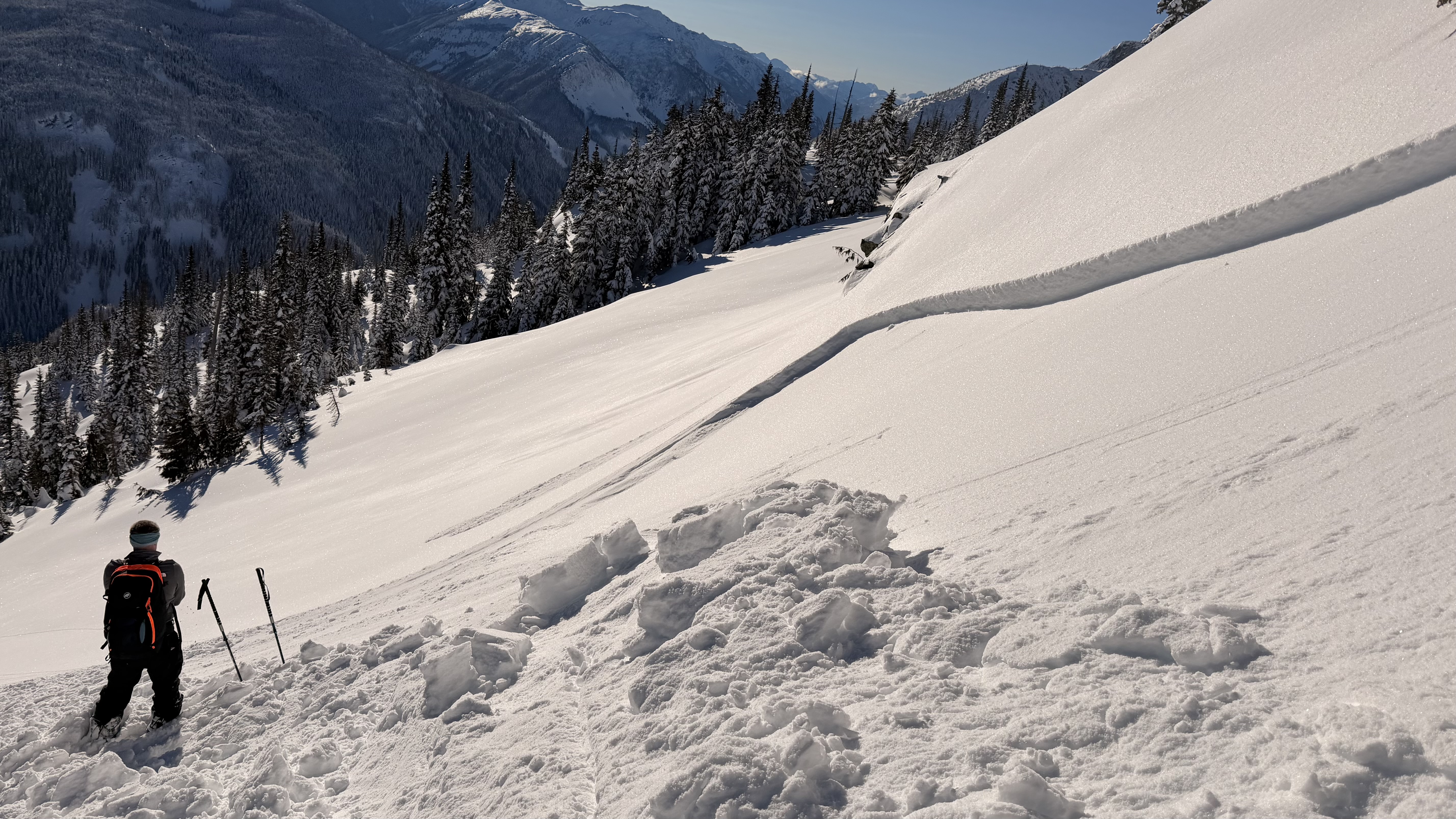 Observation photo 3