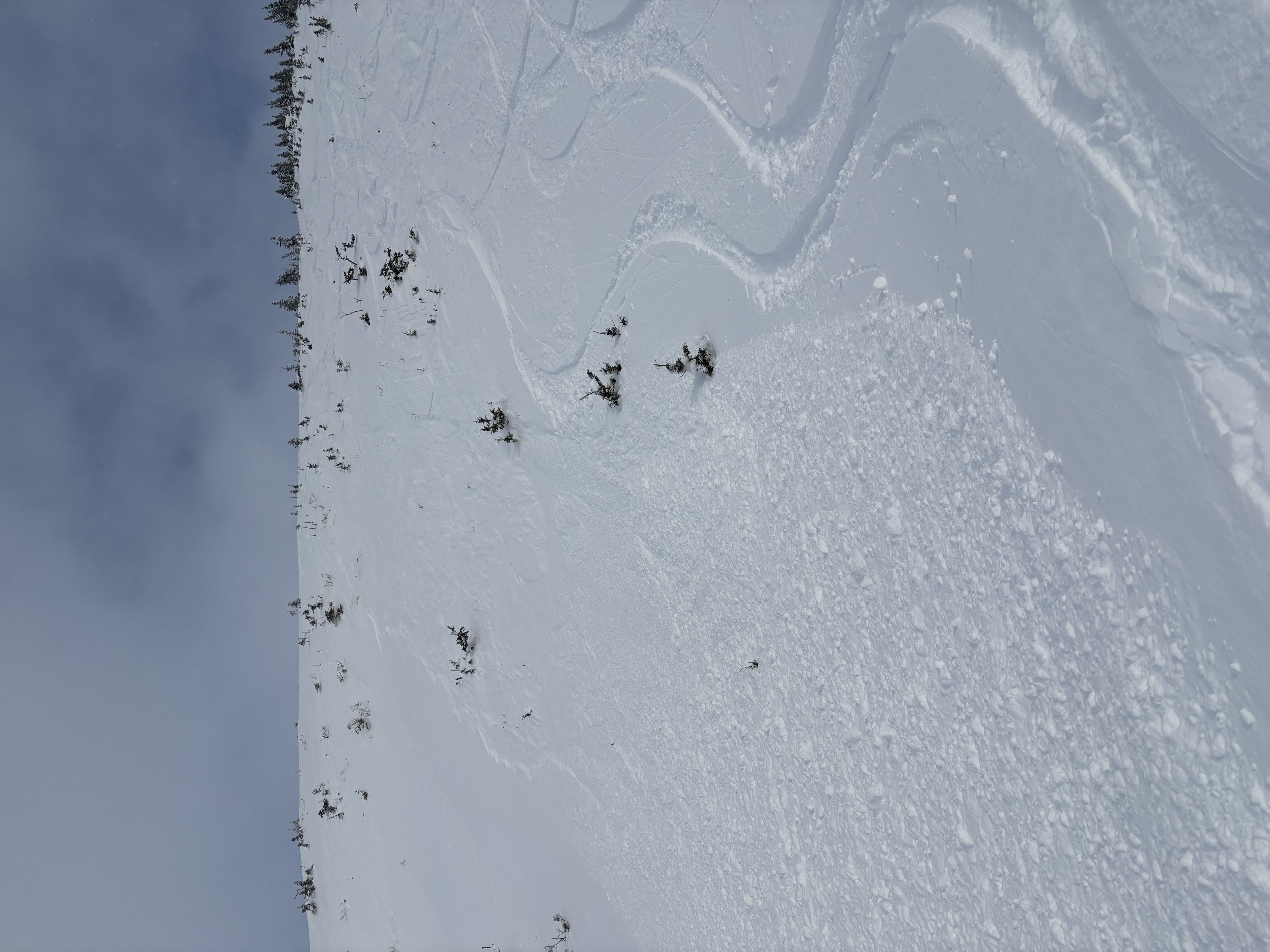 Observation photo
