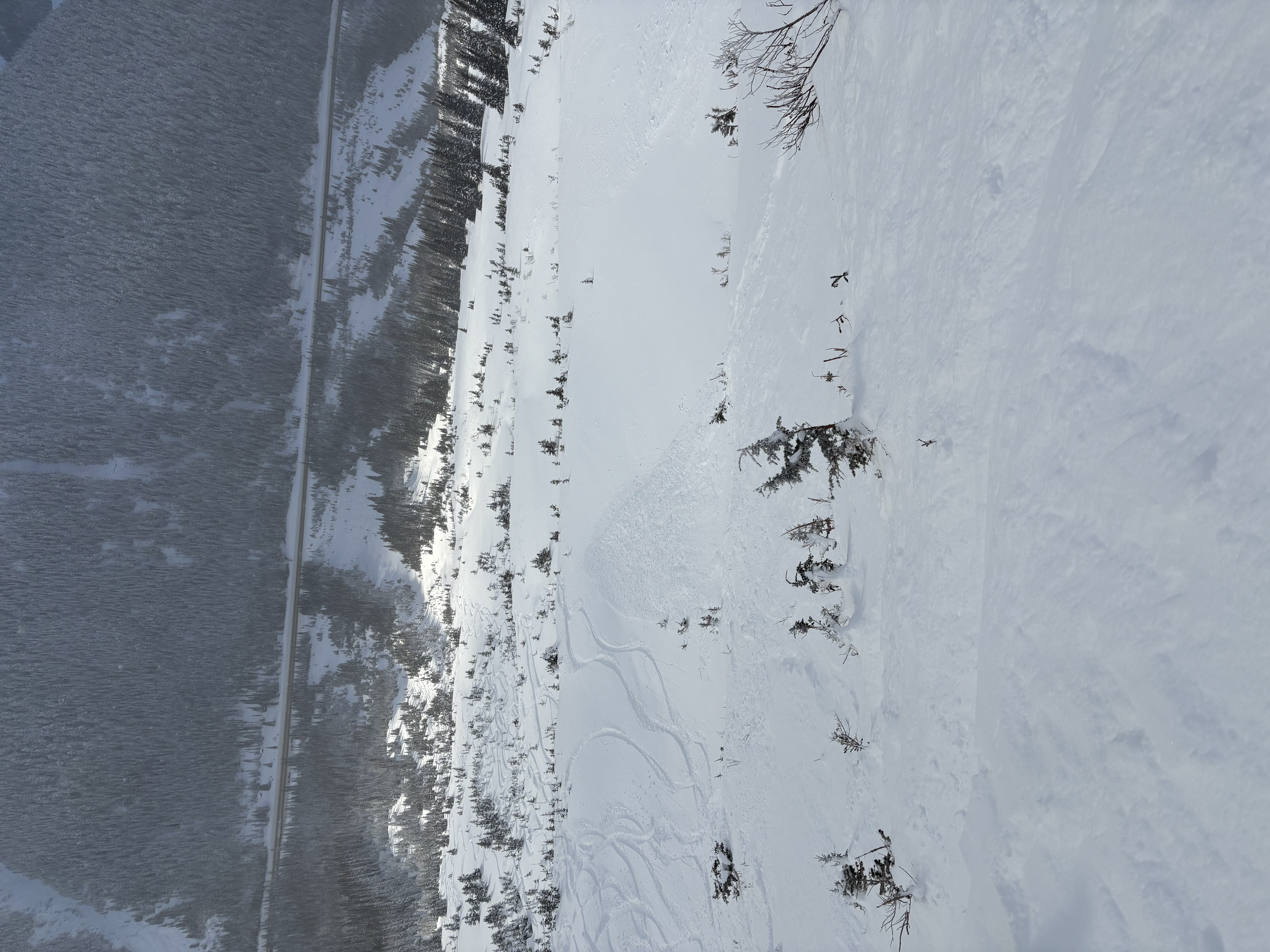 Observation photo