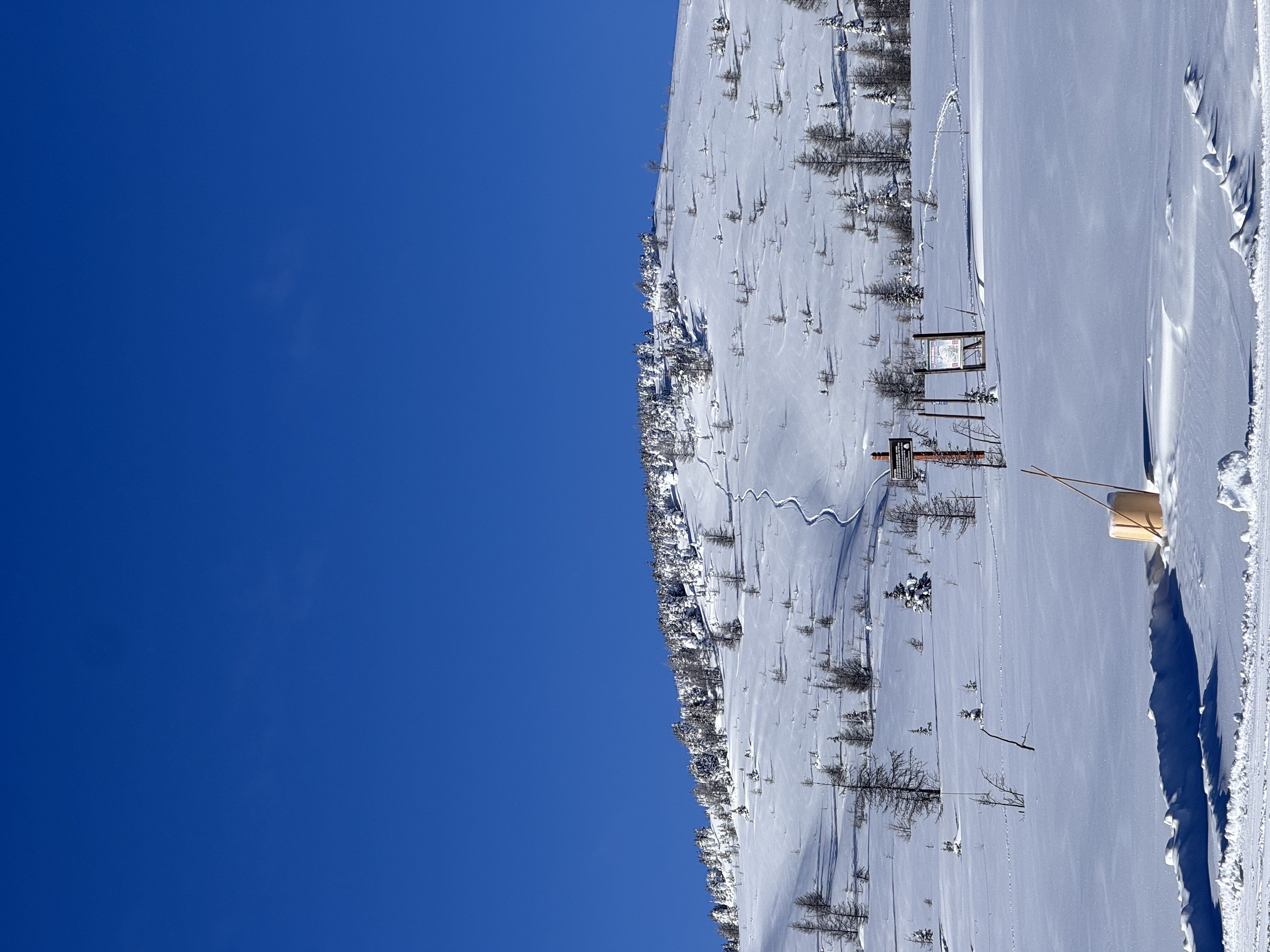 Observation photo