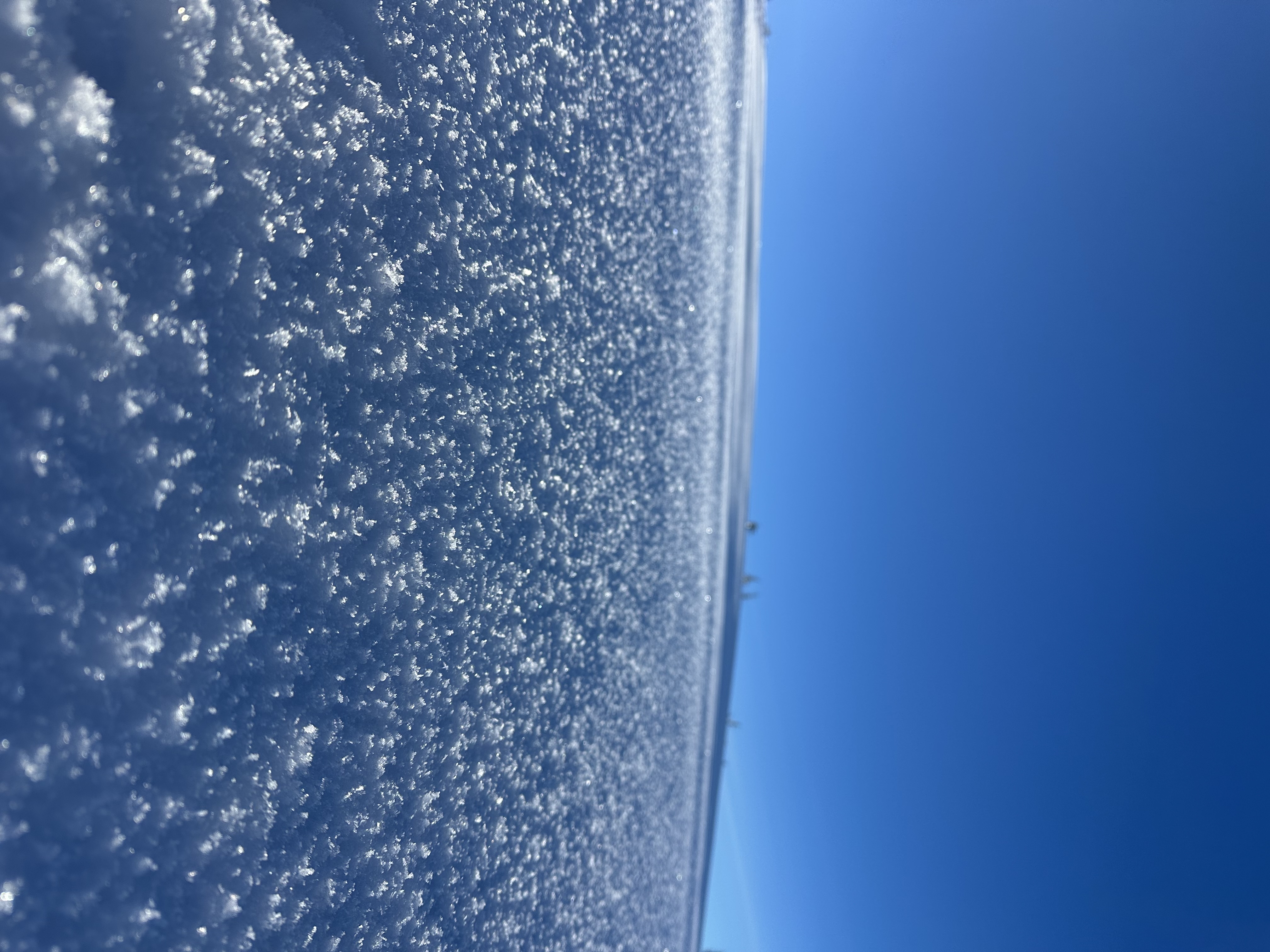 Observation photo