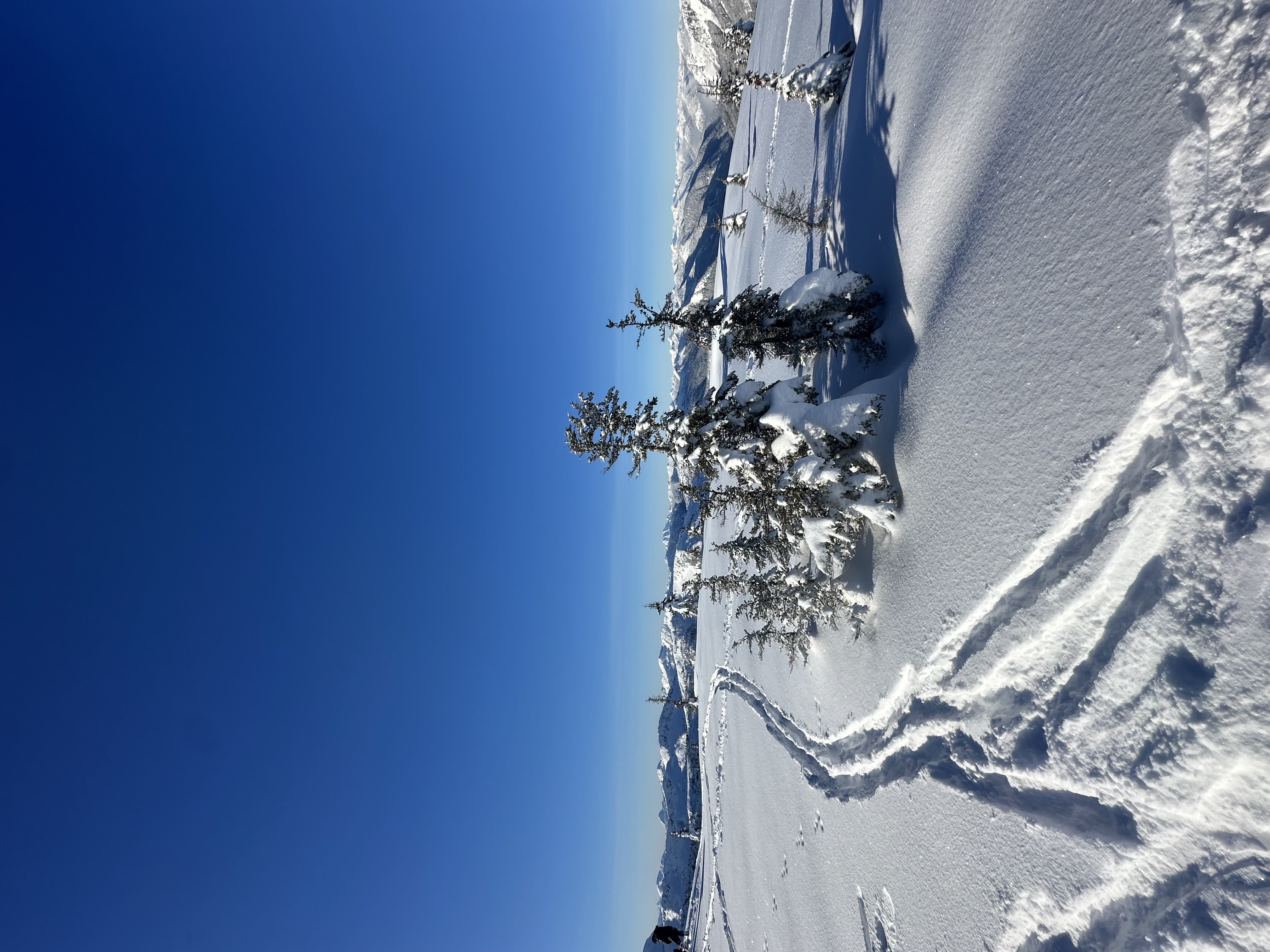 Observation photo