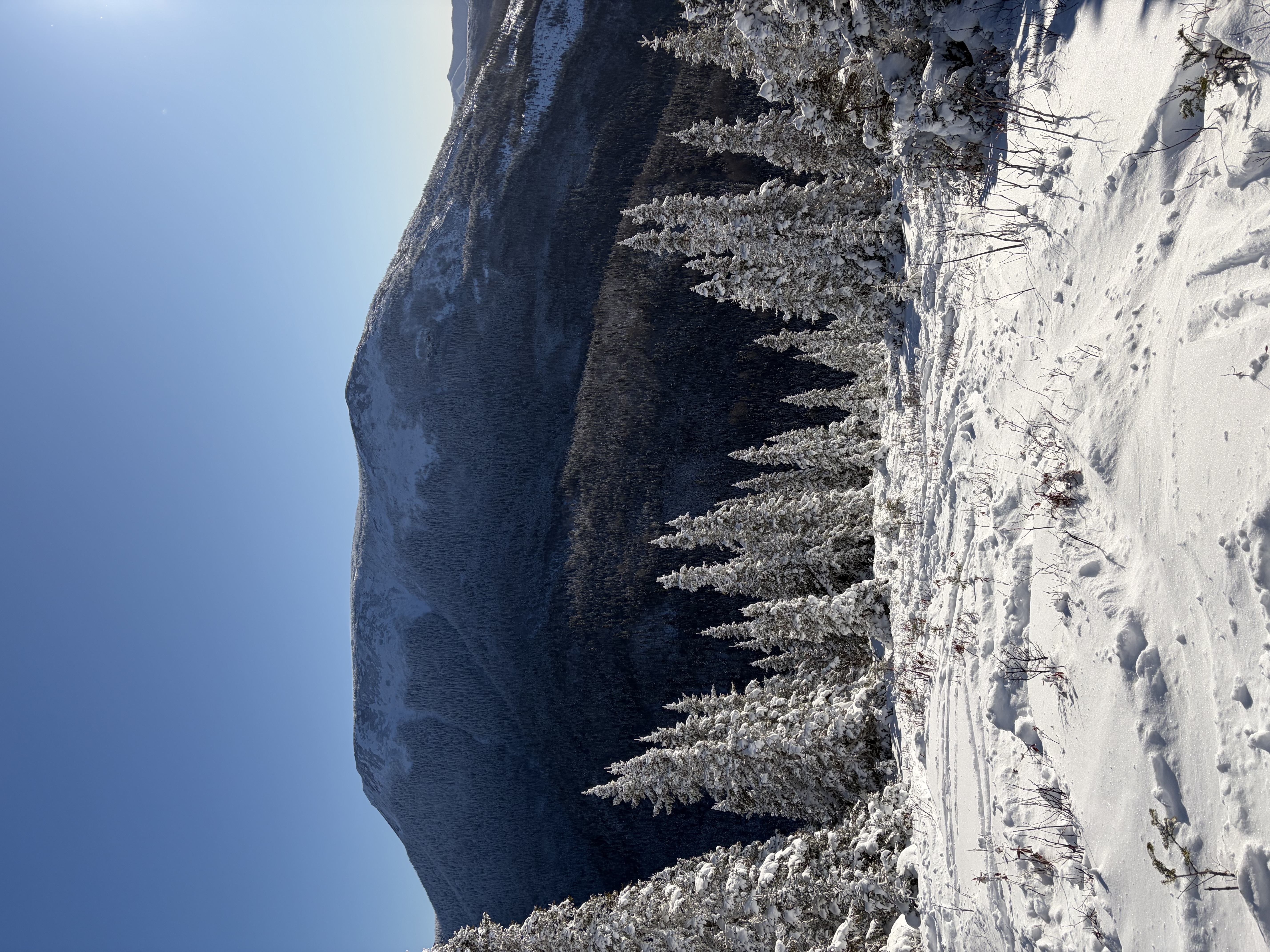 Observation photo