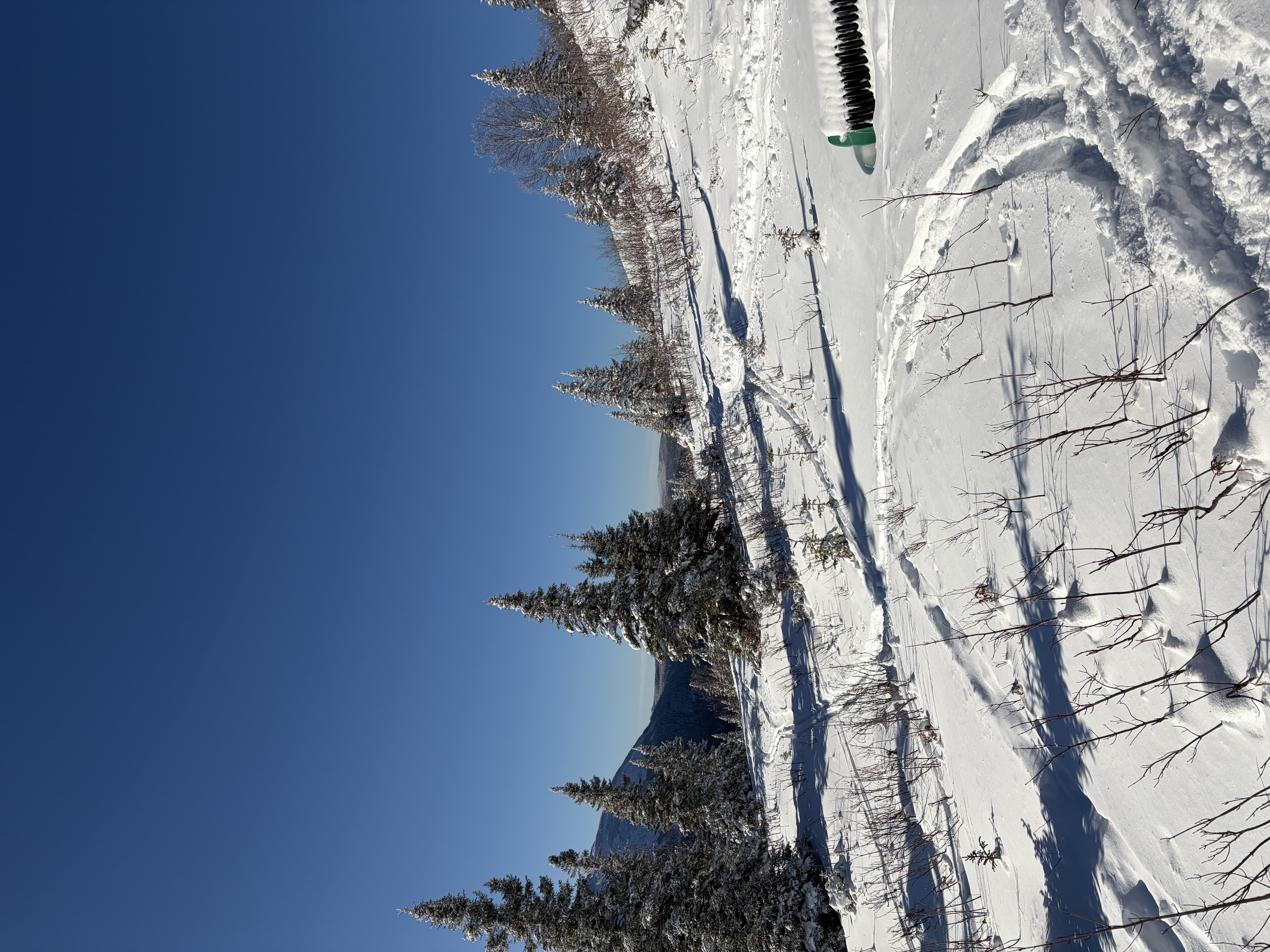 Observation photo