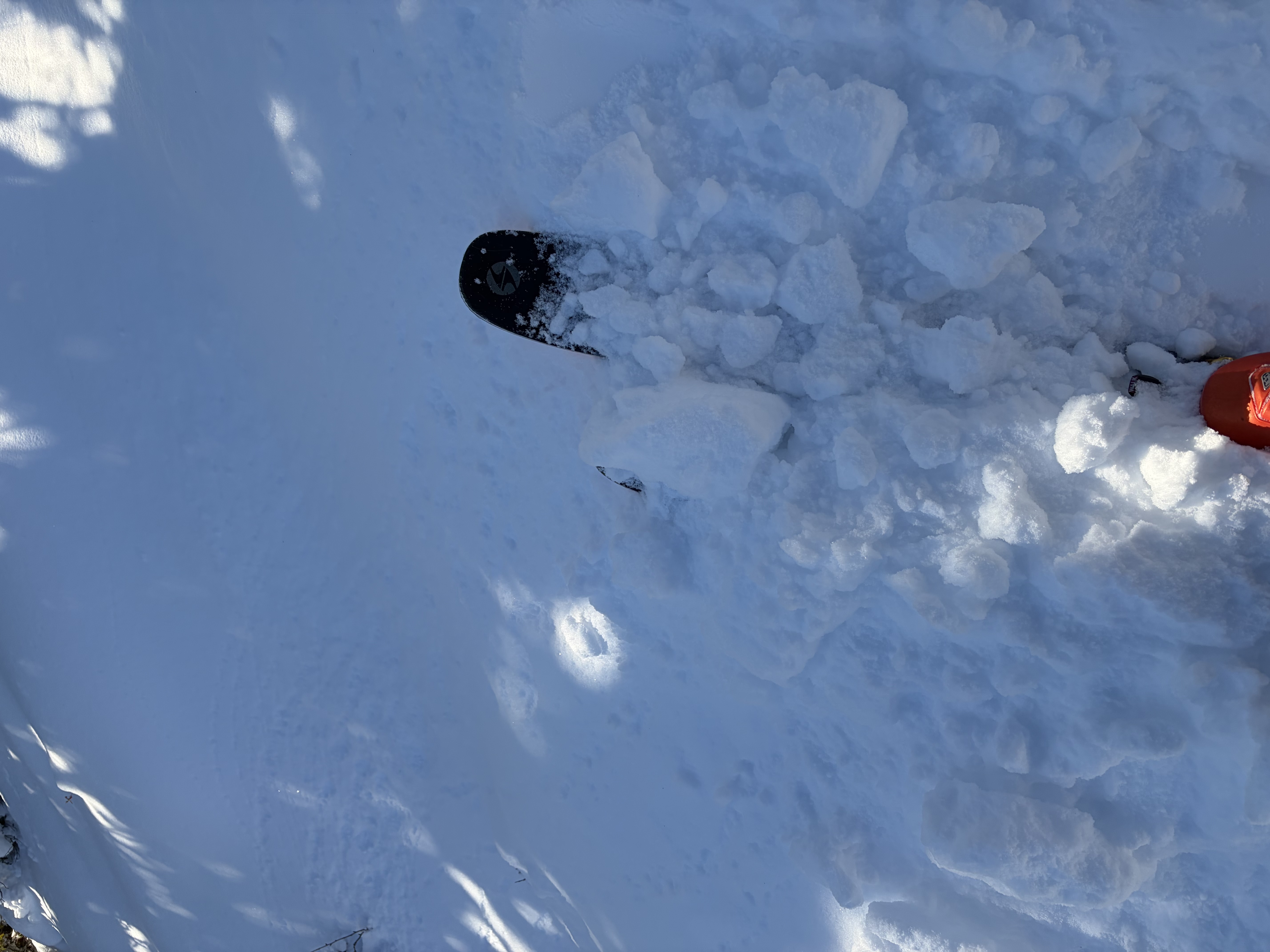 Observation photo