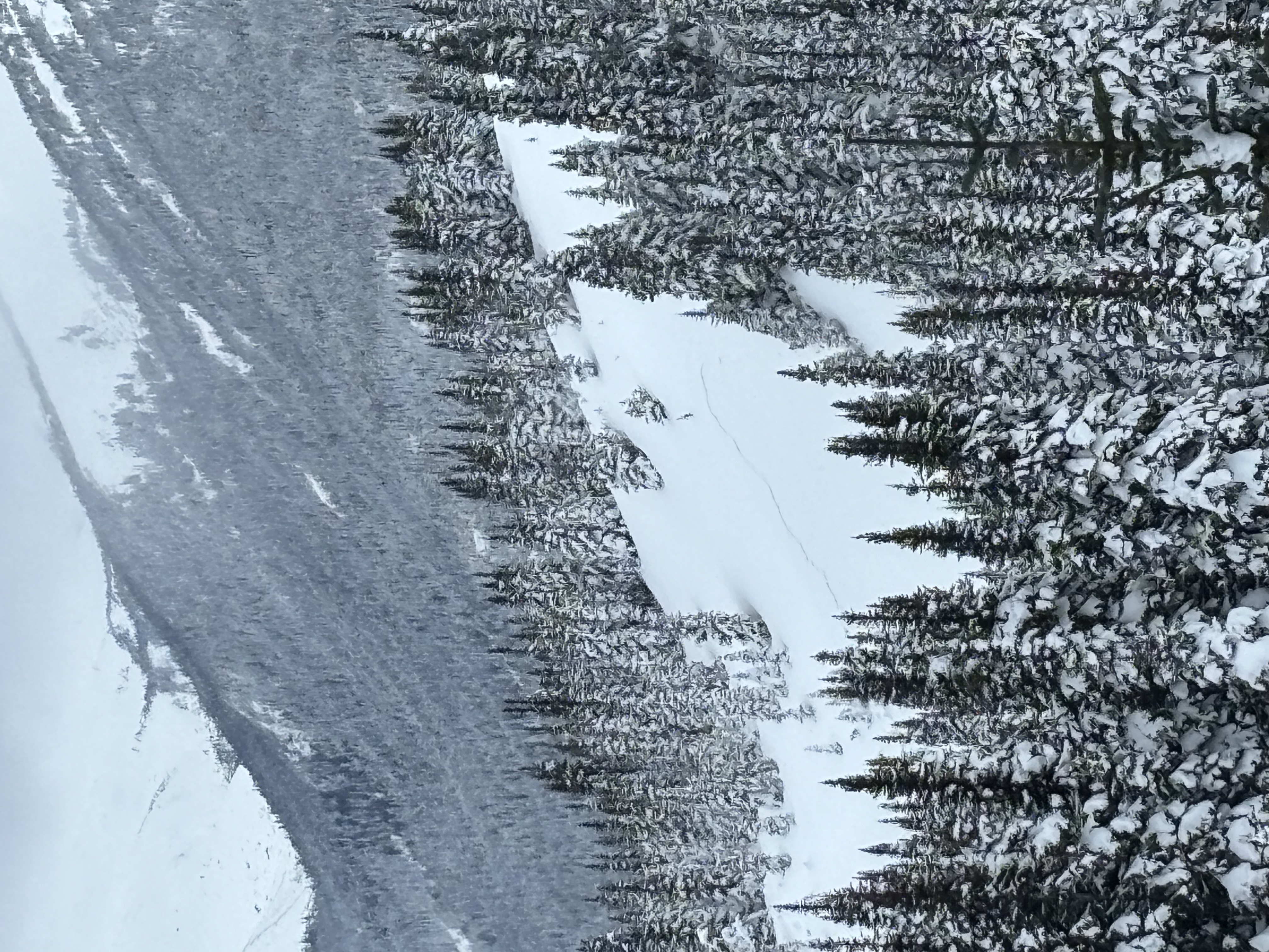 Observation photo