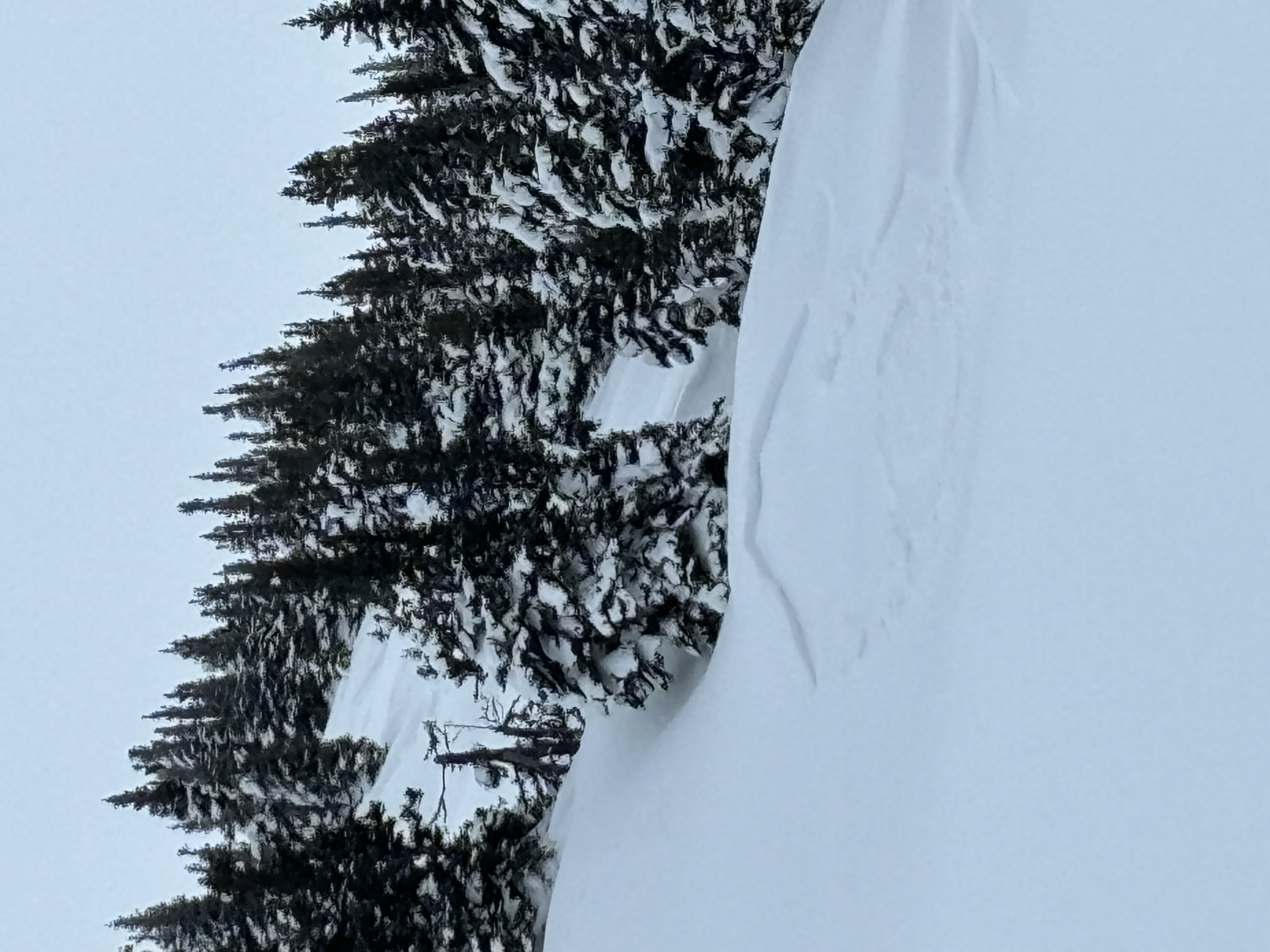 Observation photo