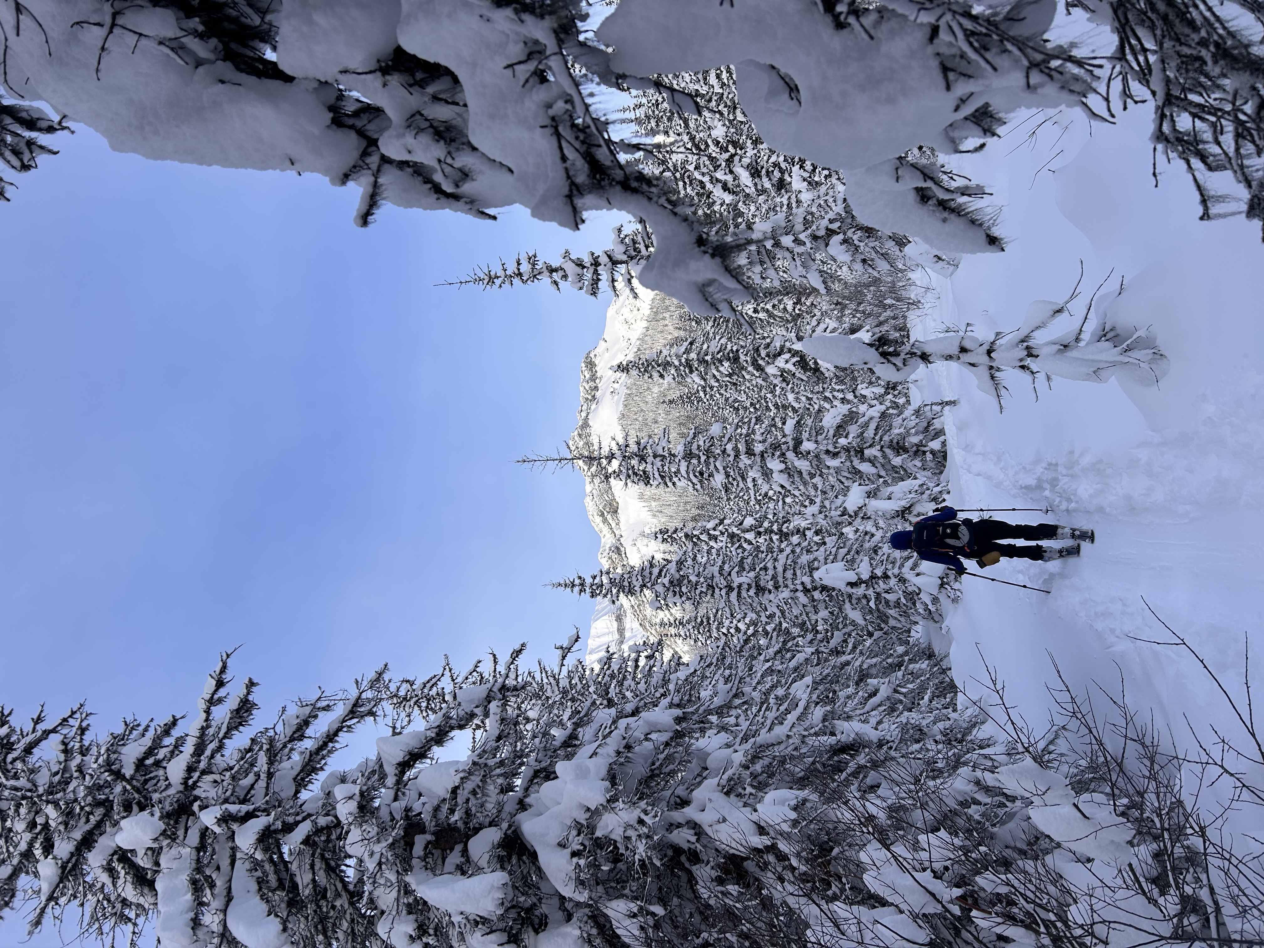 Observation photo