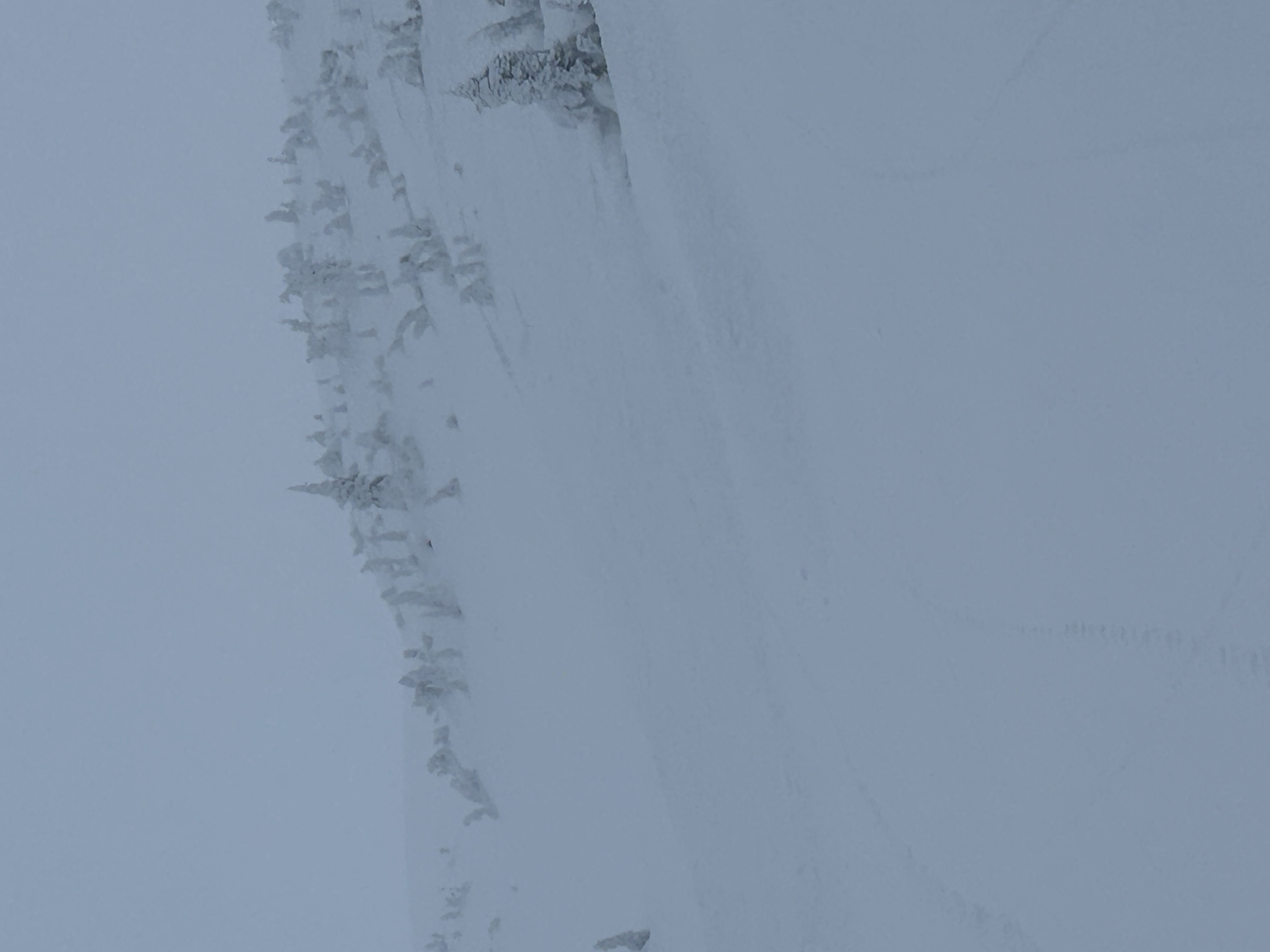 Observation photo