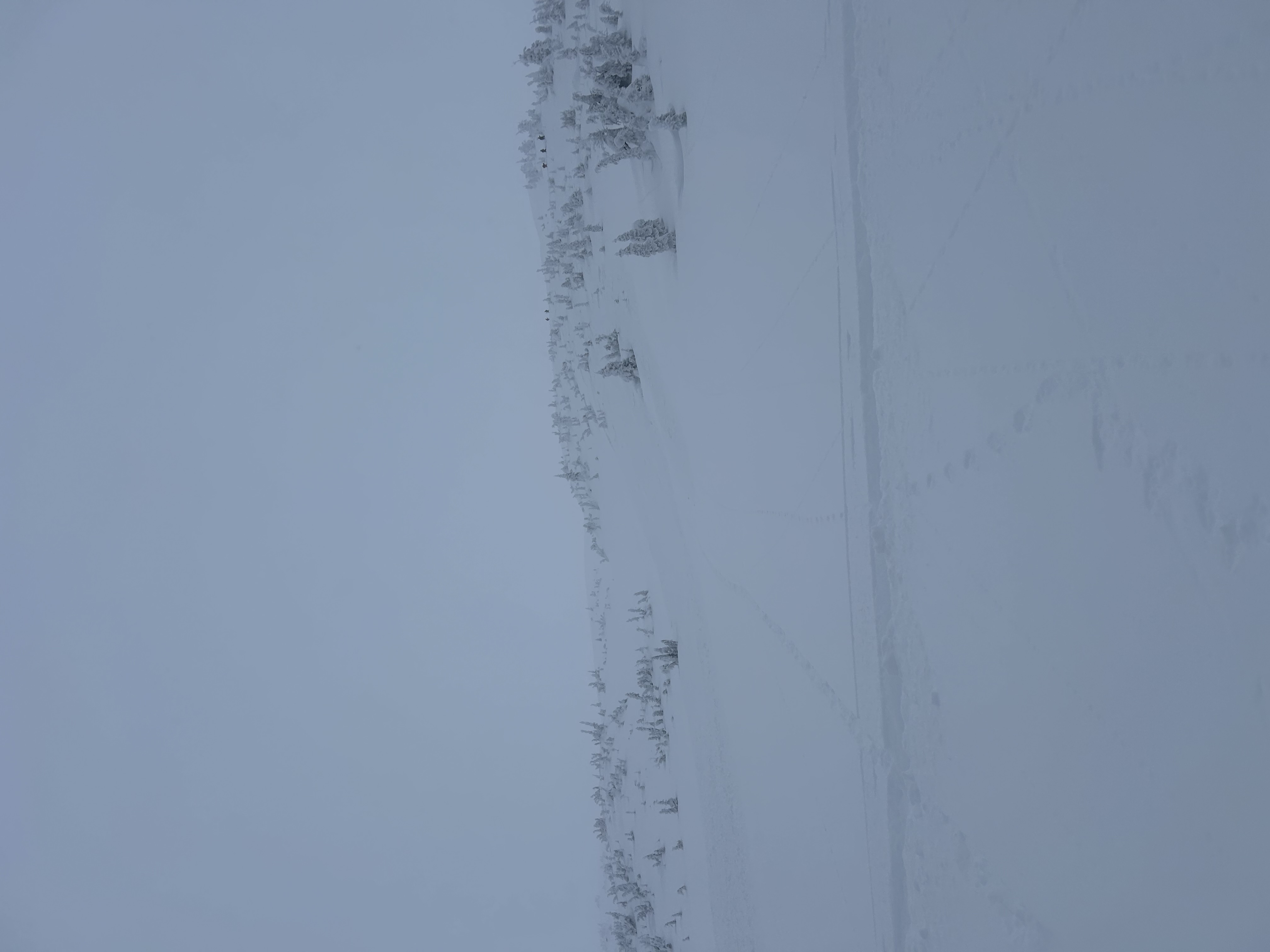Observation photo