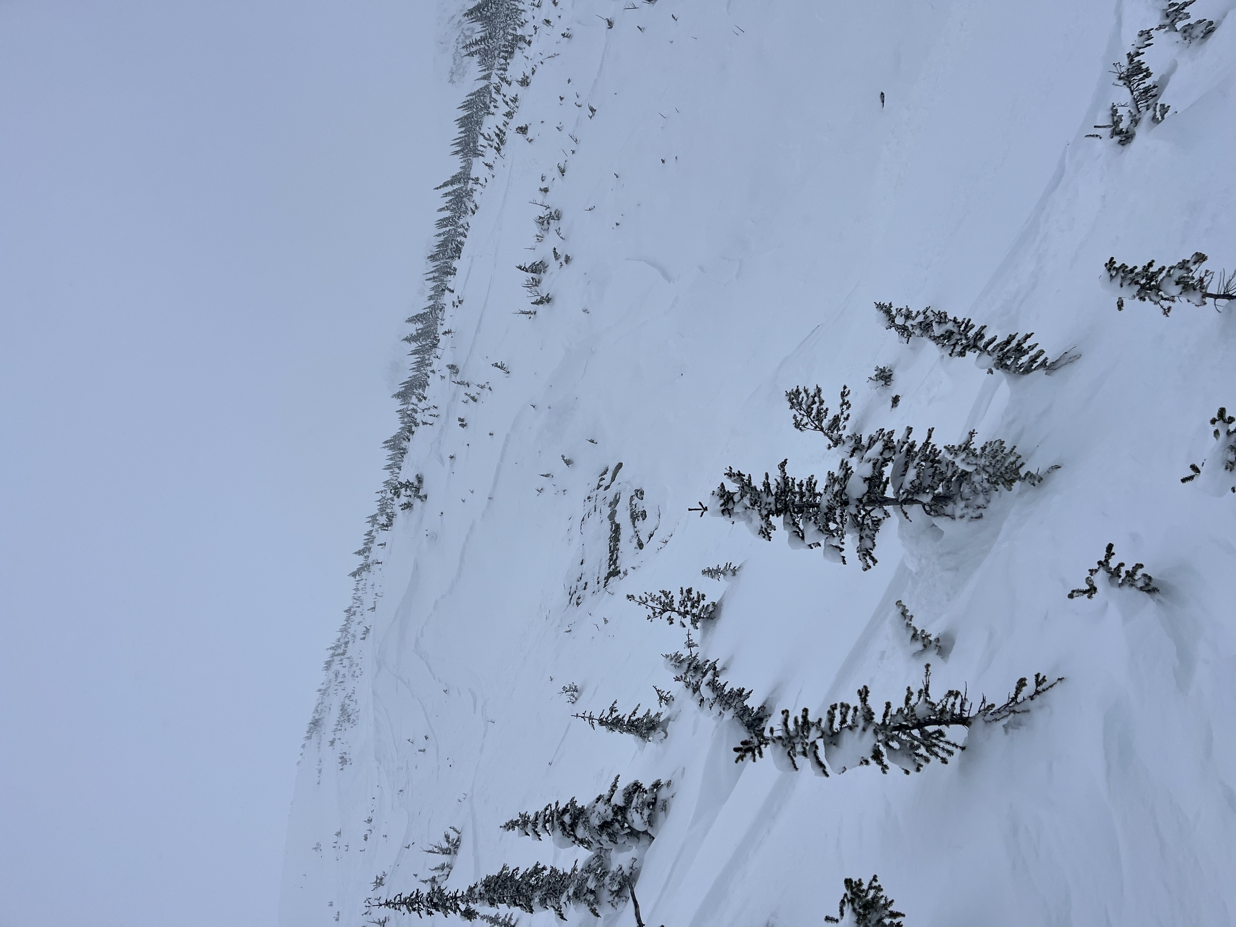 Observation photo