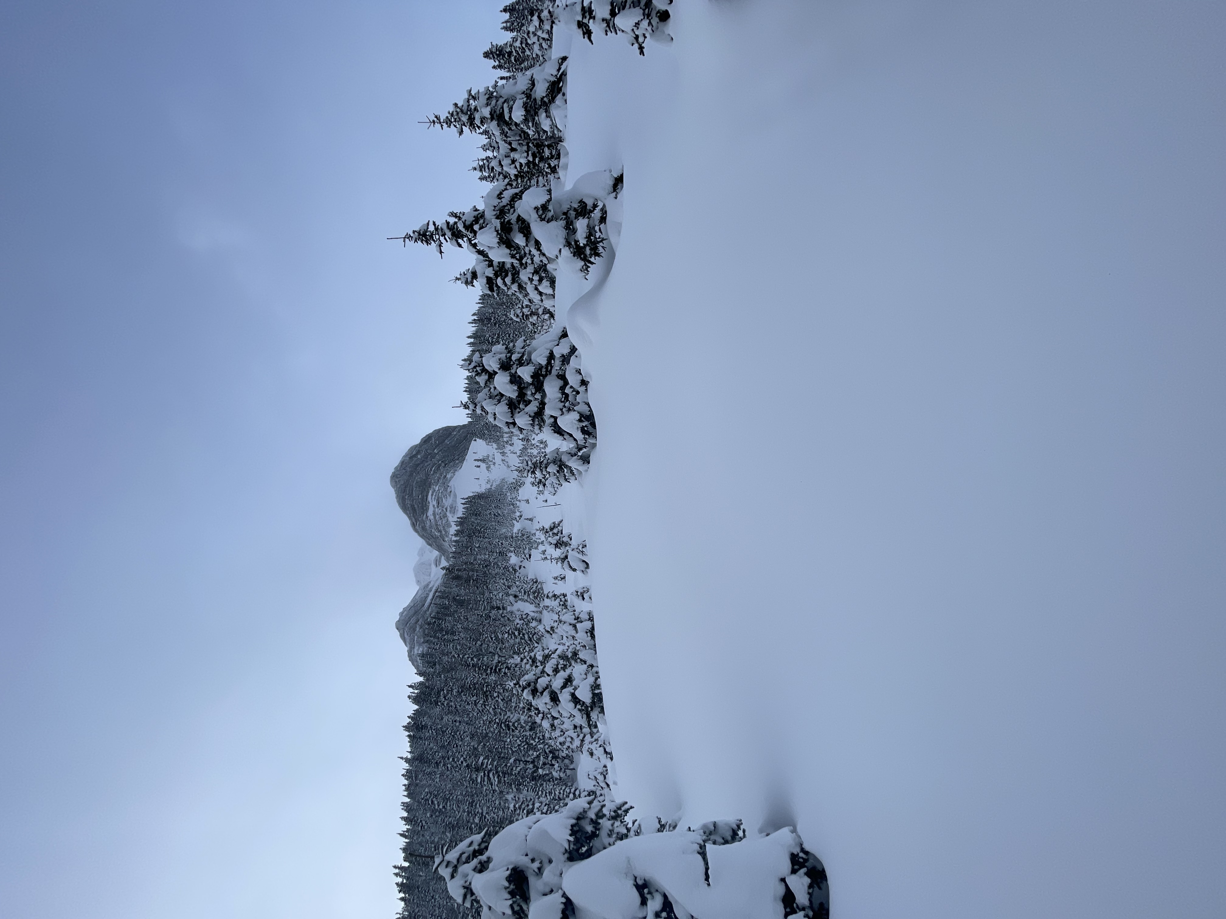 Observation photo