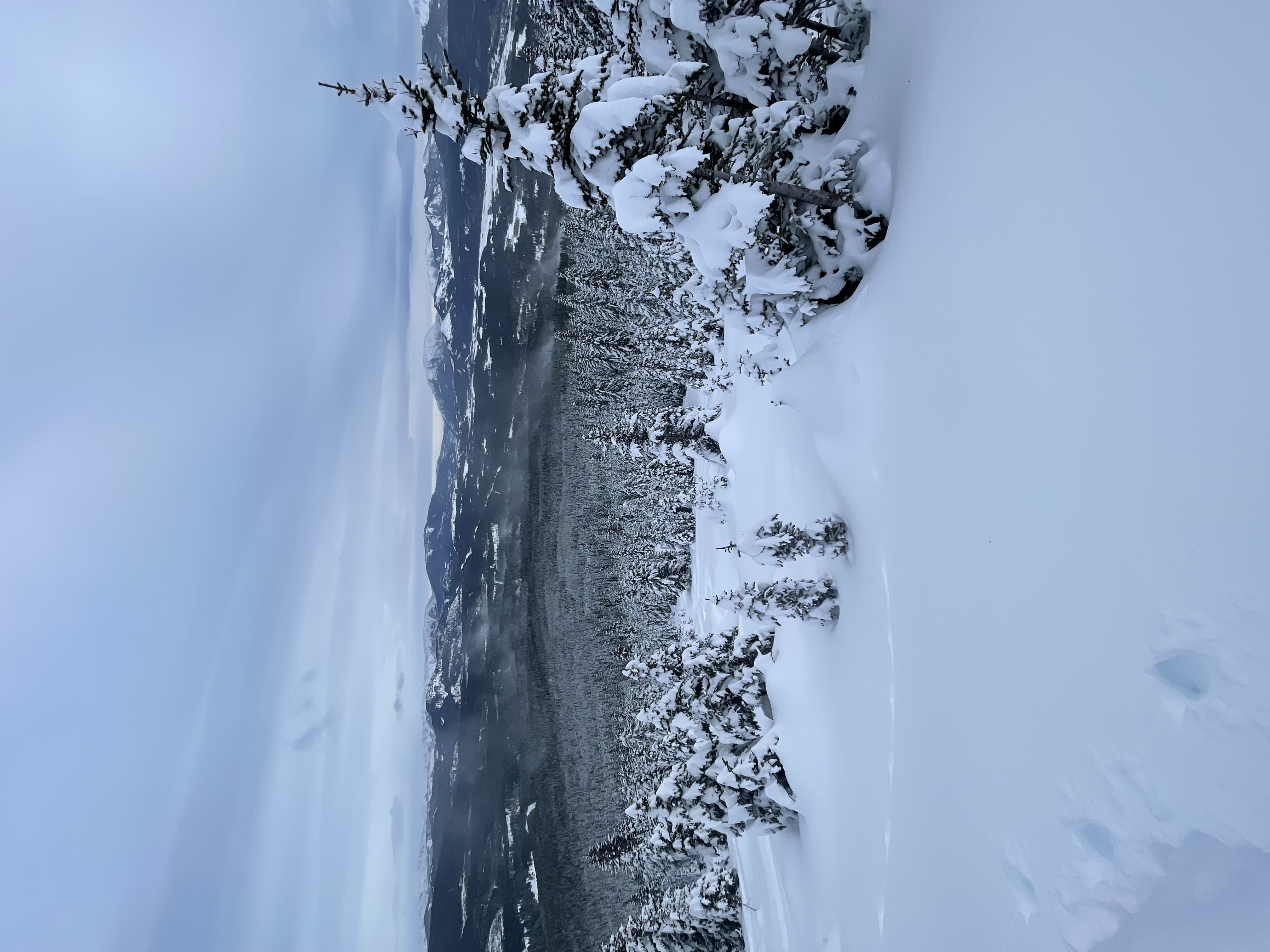 Observation photo