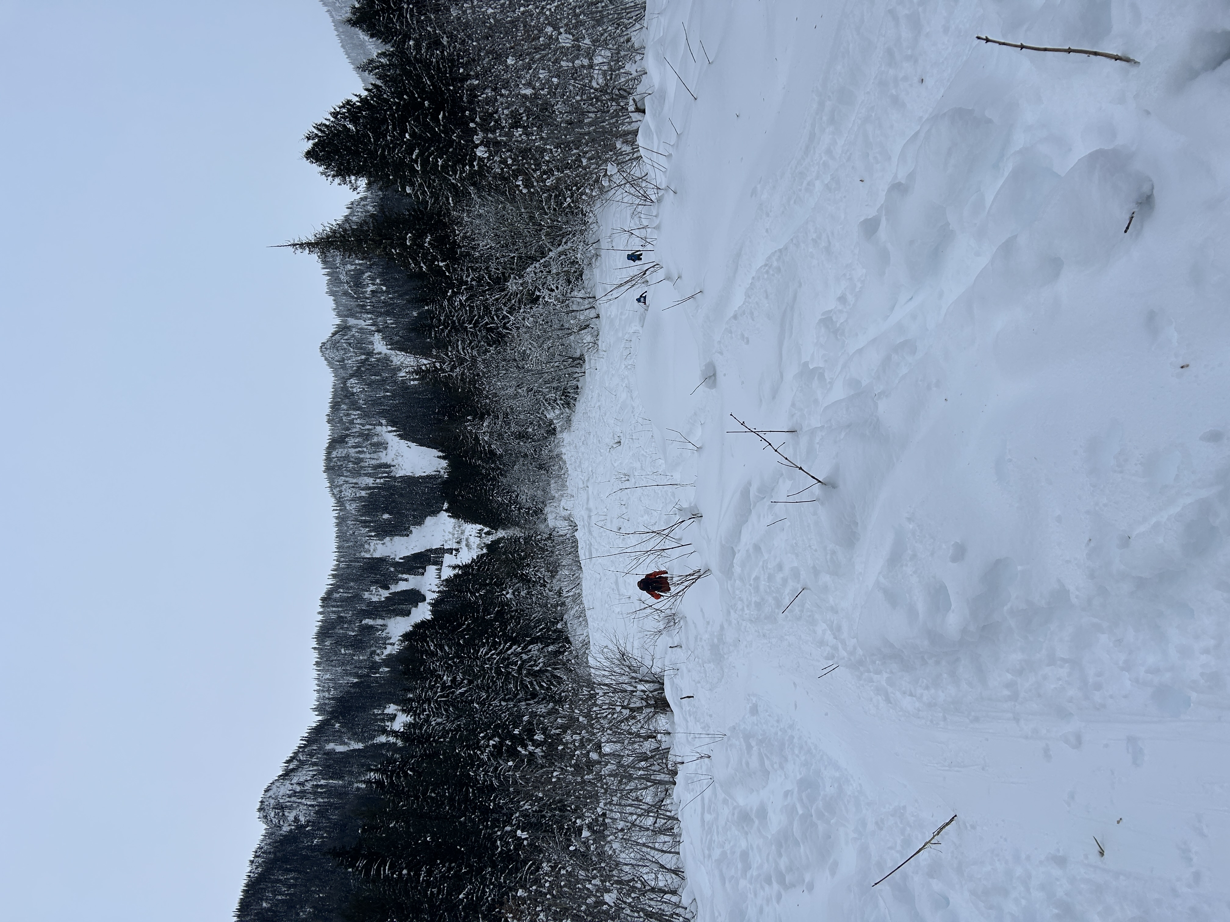 Observation photo