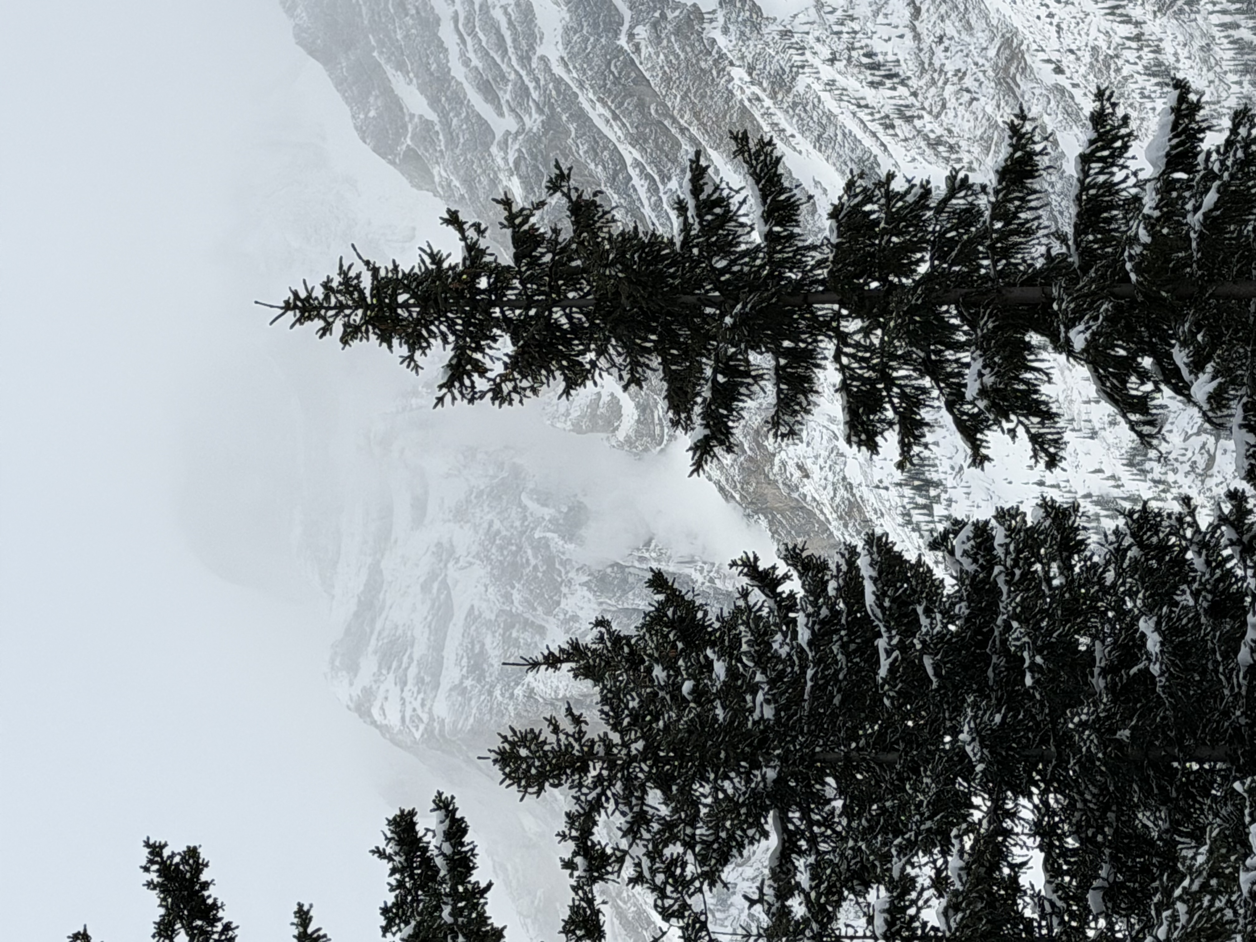 Observation photo