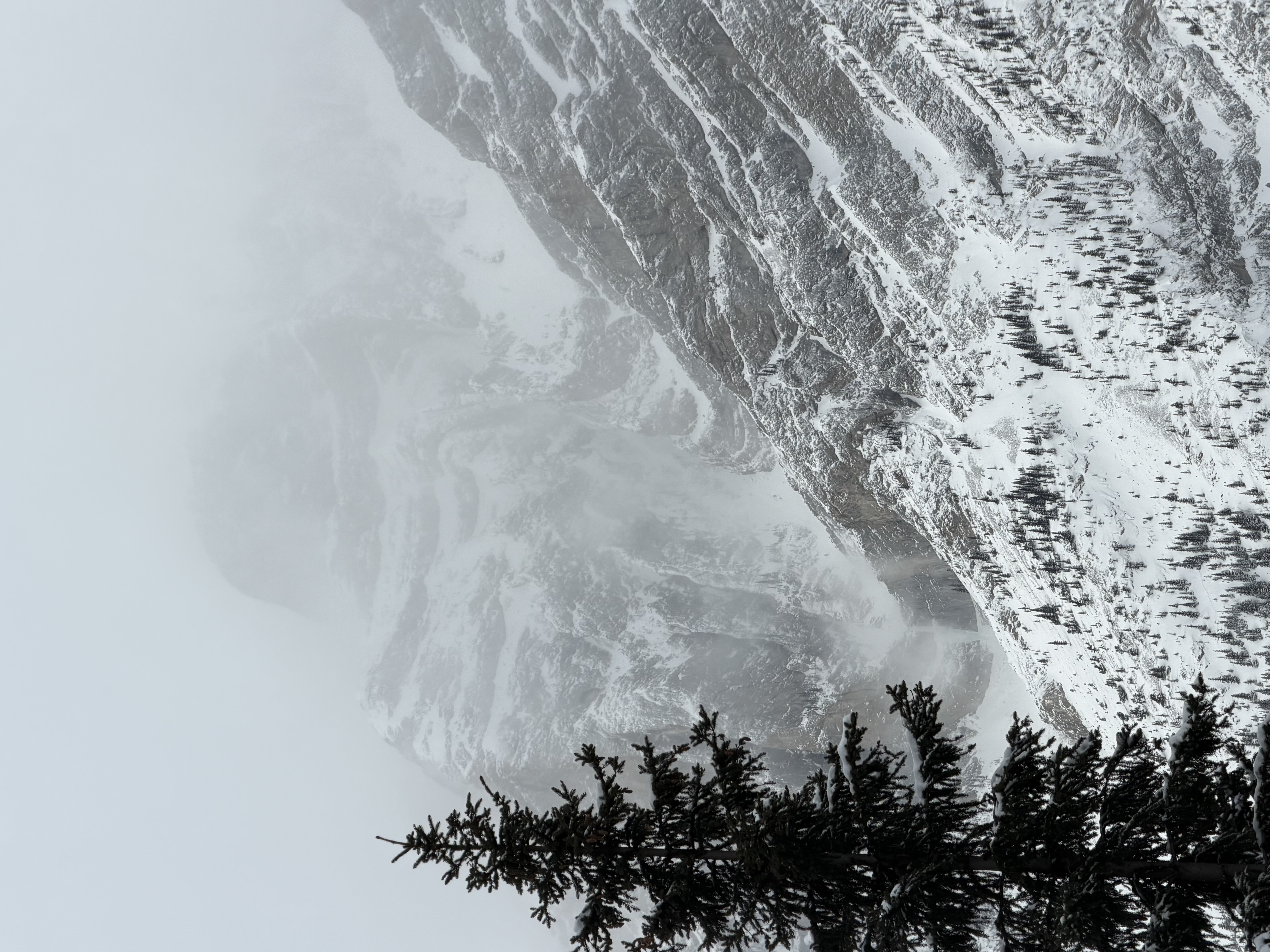 Observation photo