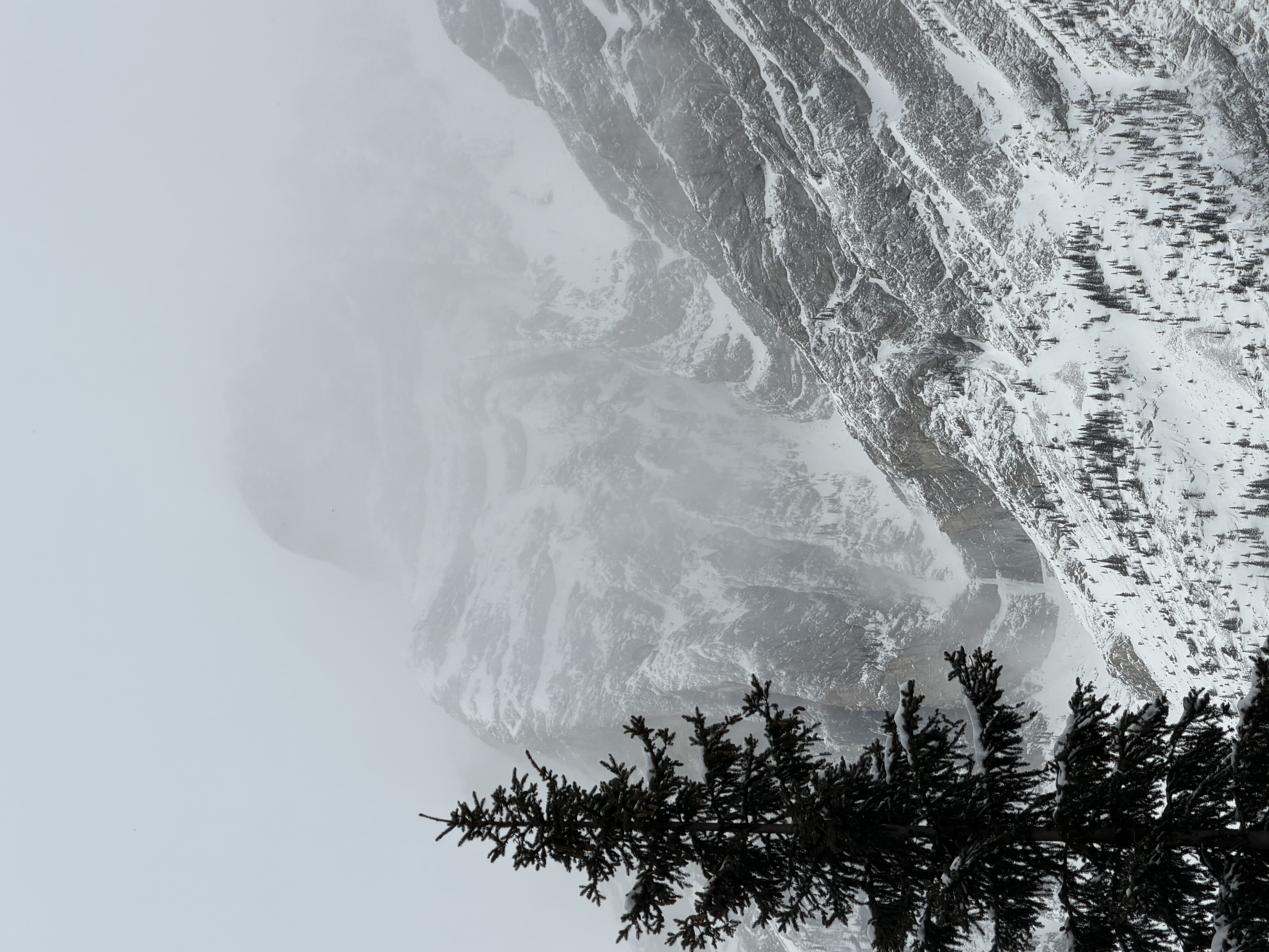Observation photo