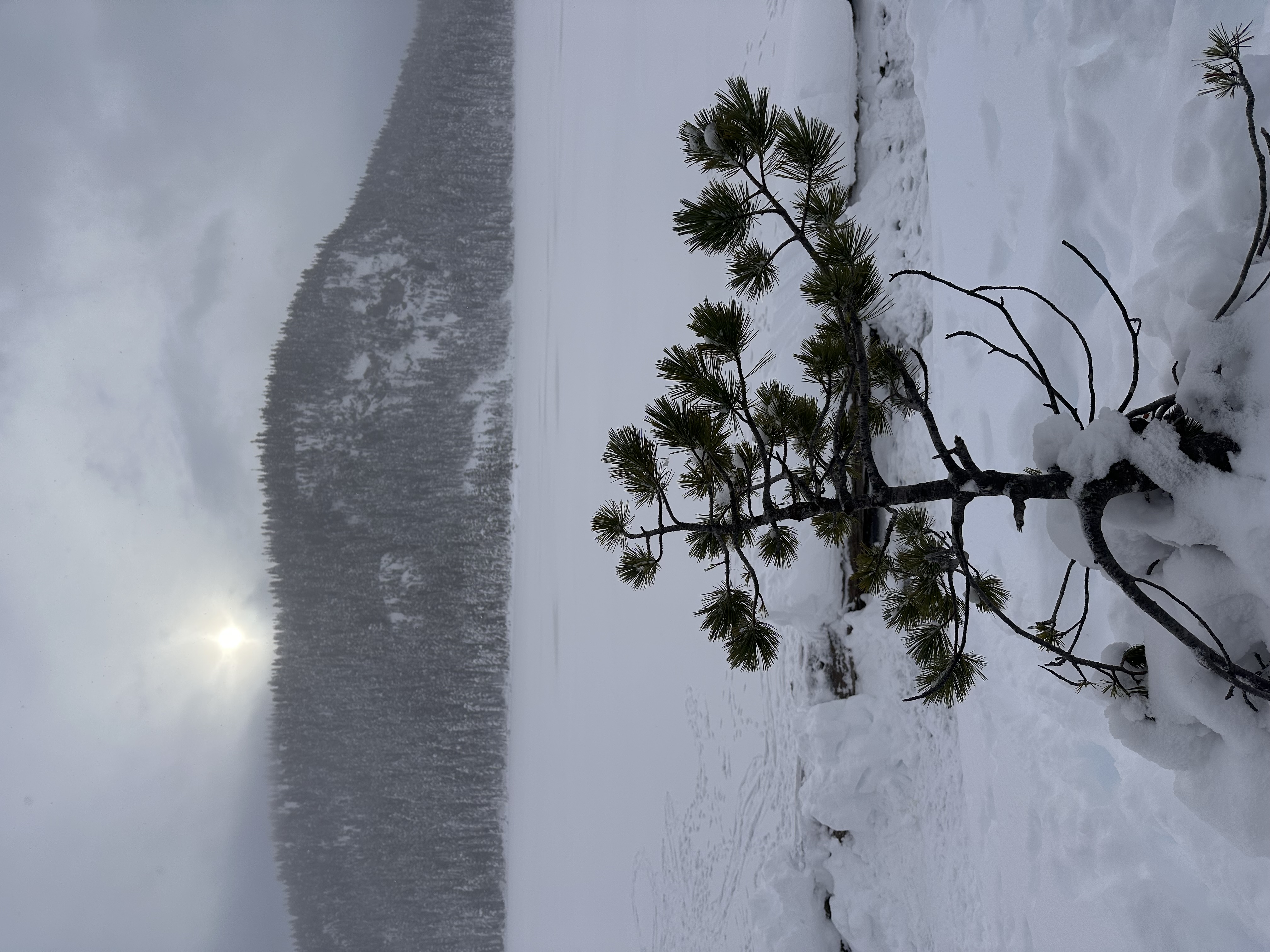 Observation photo