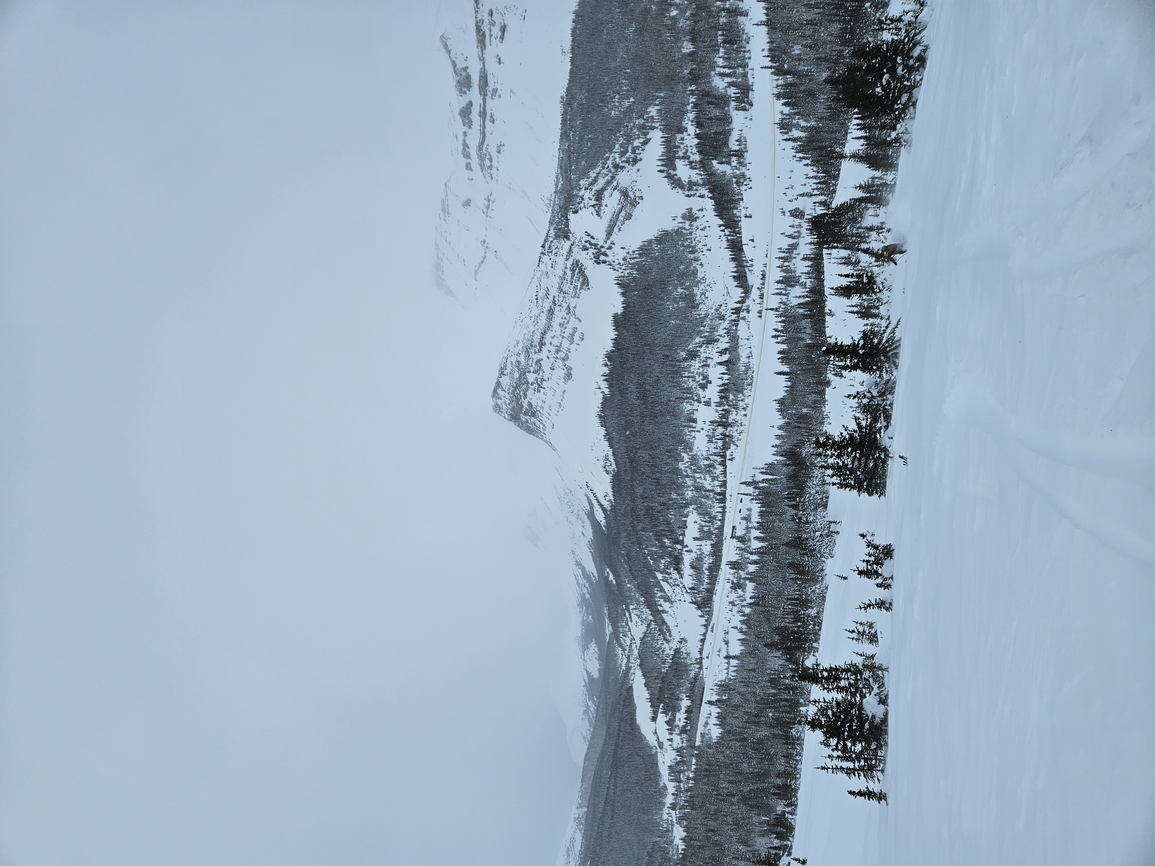 Observation photo