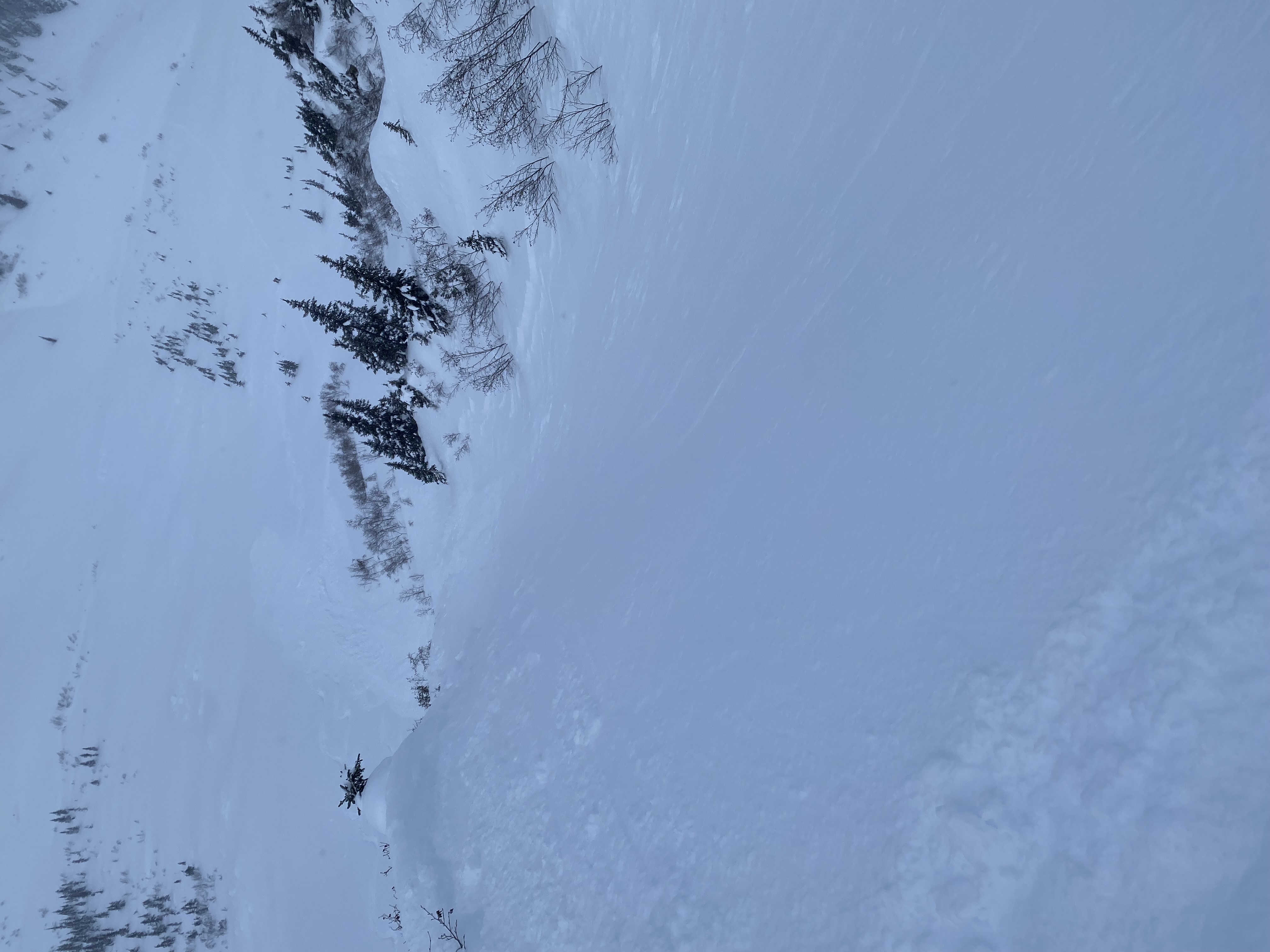 Observation photo