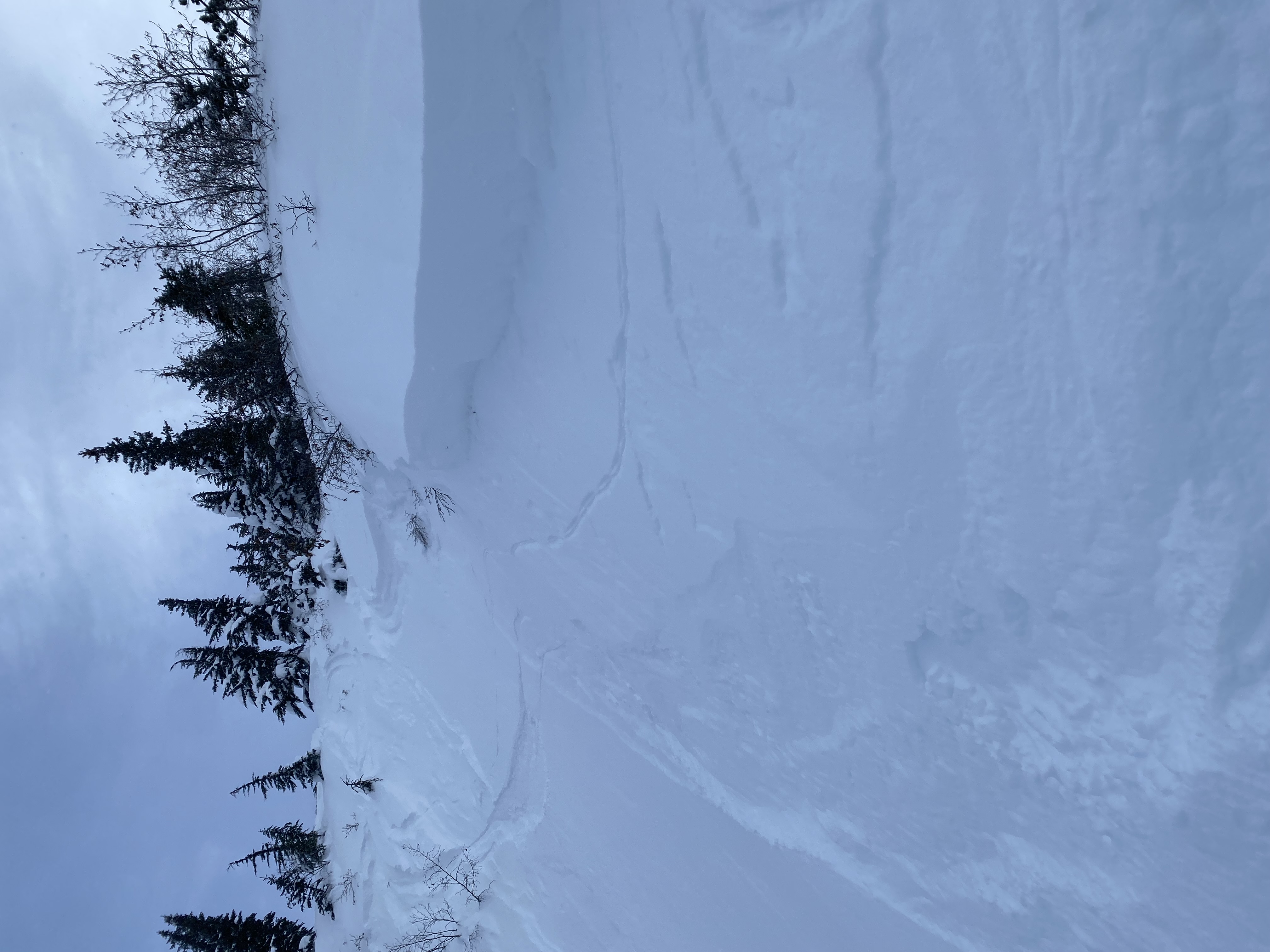 Observation photo