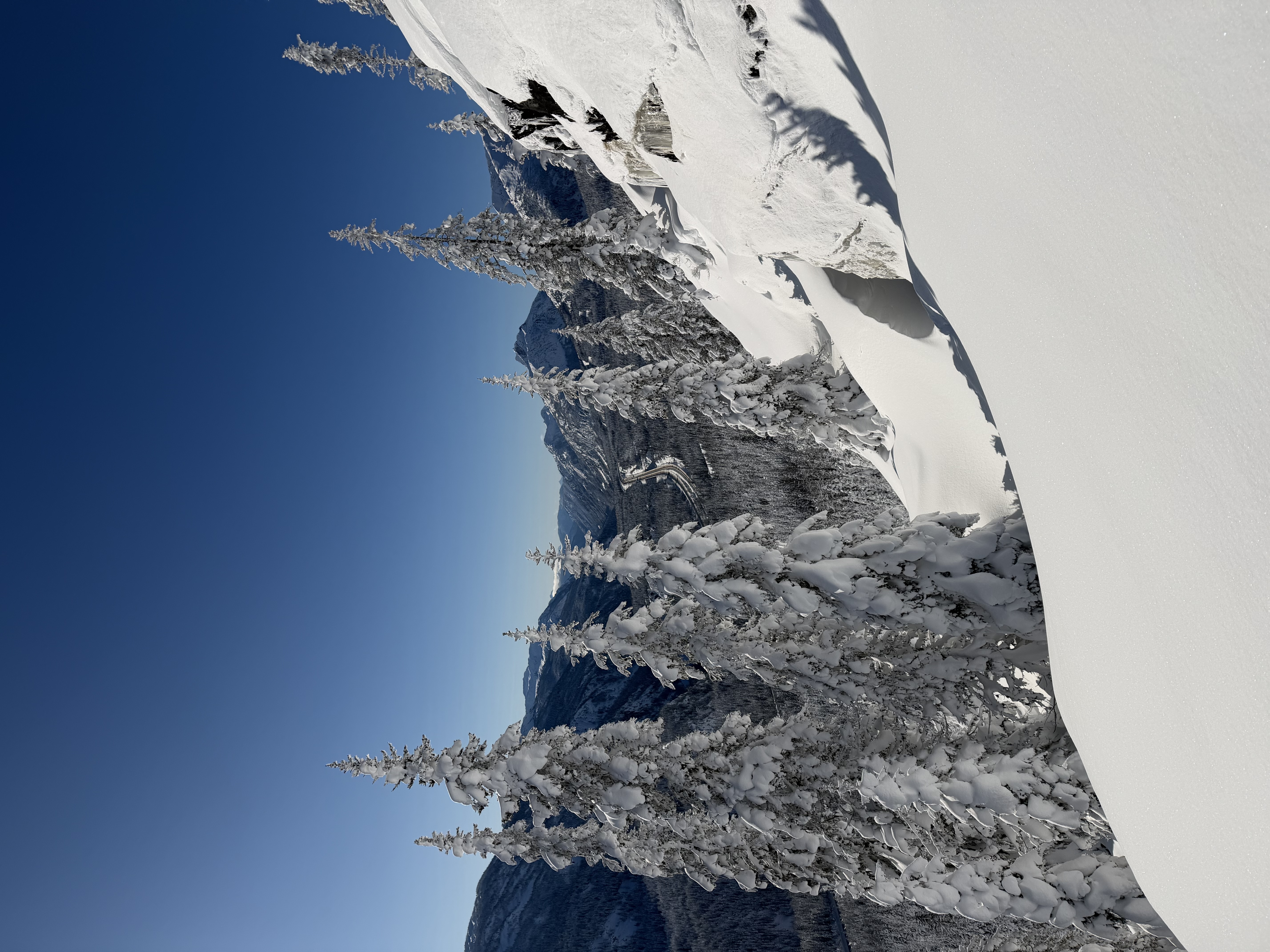 Observation photo
