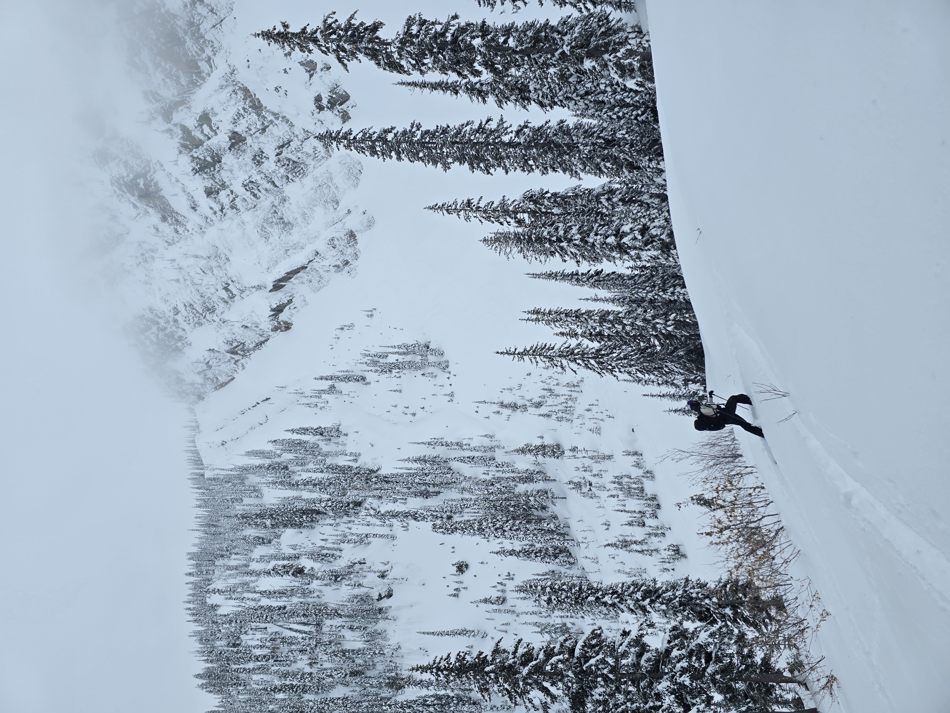 Observation photo