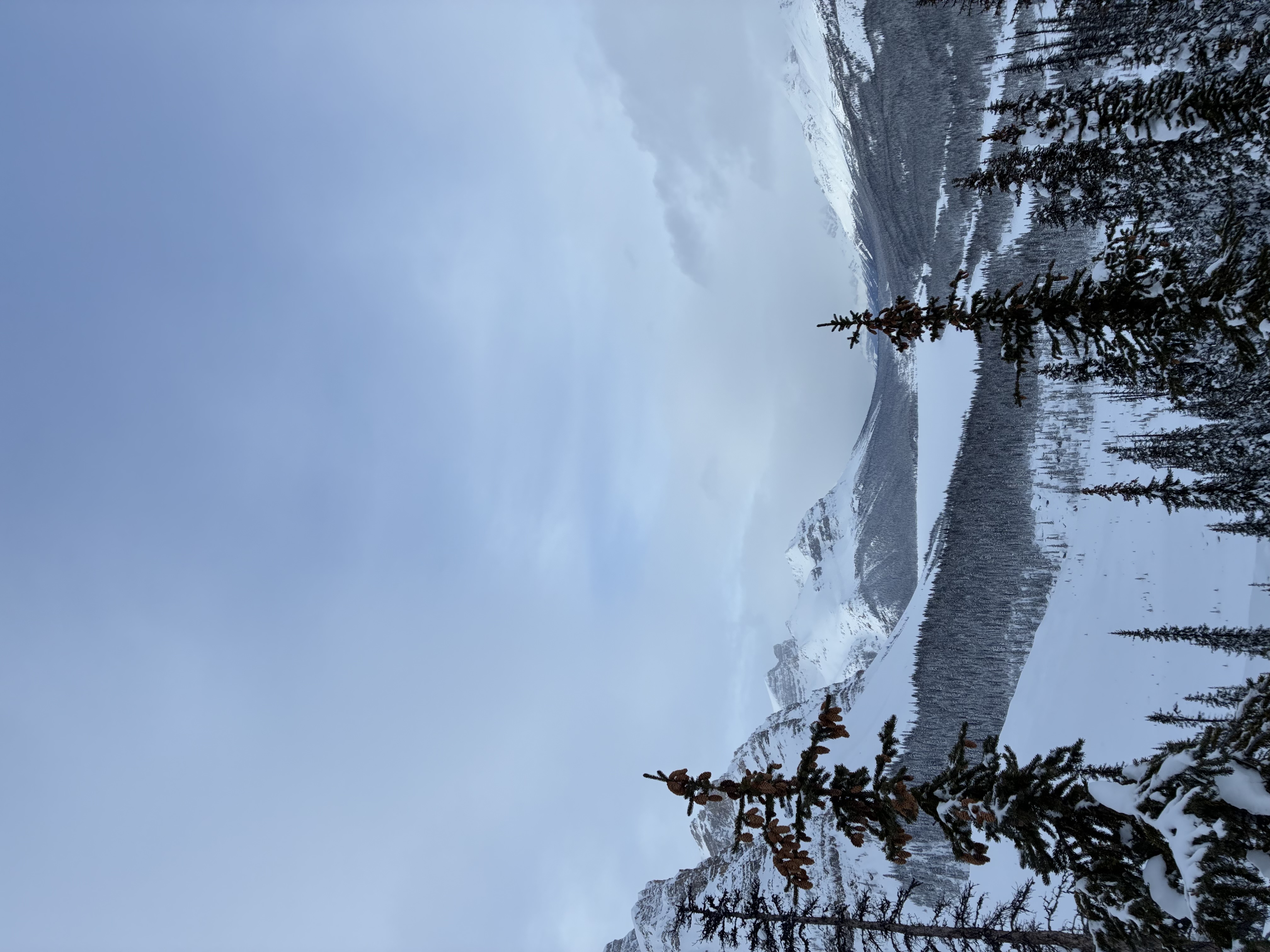 Observation photo
