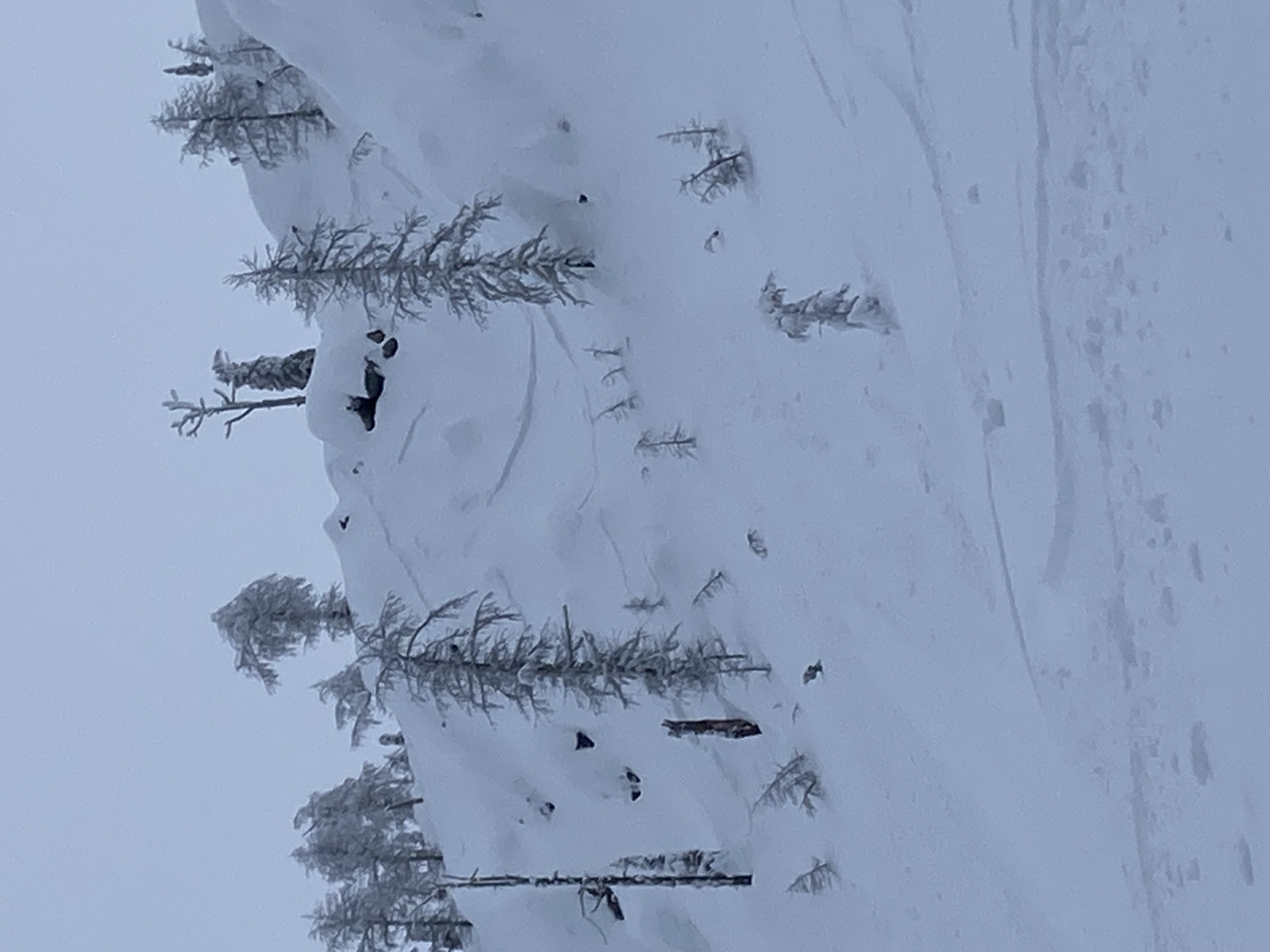 Observation photo